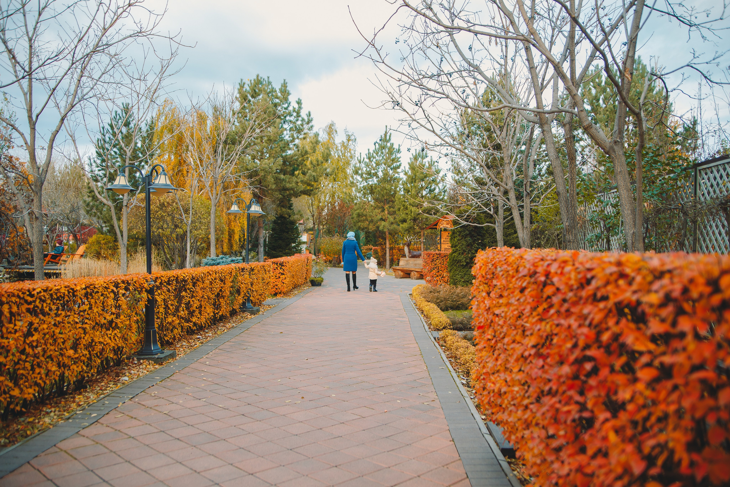 Волшебная осень. Фотограф в Абакане Николай Окунев