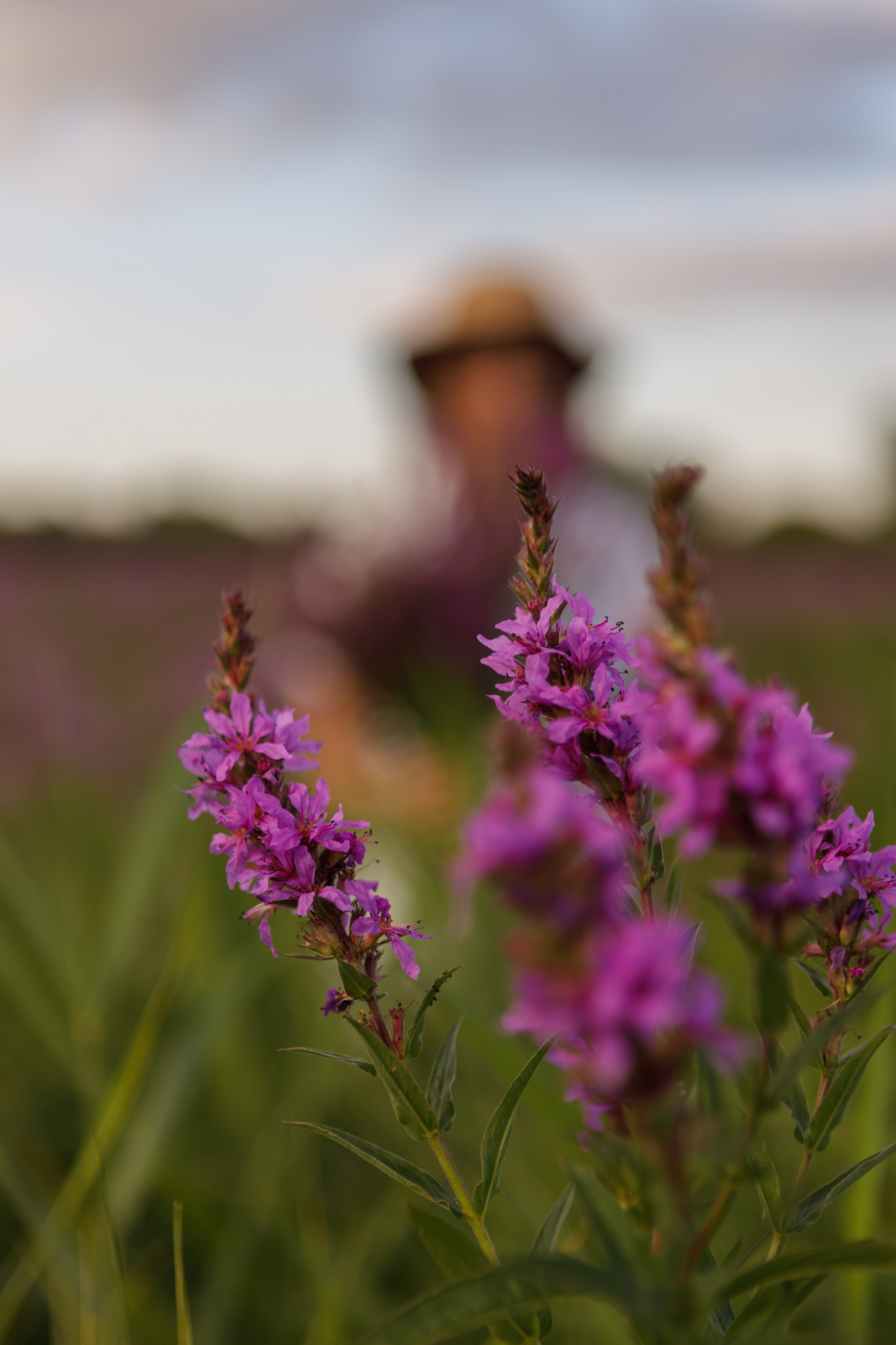 Индивидуальная фотосессия. Фотограф в Барнауле Юлия Бобровских