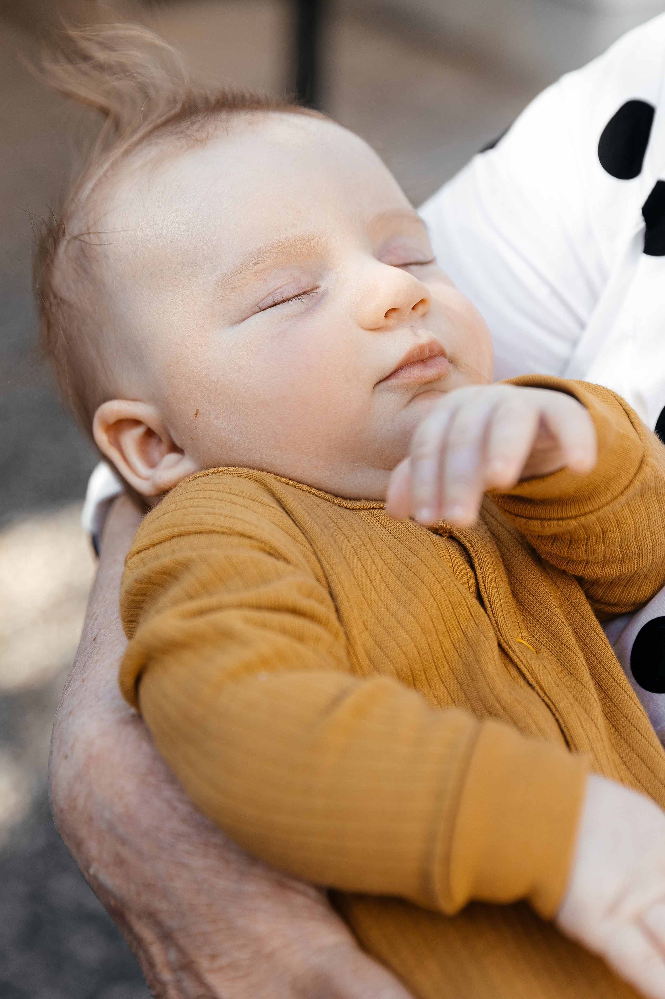 Крестины Марка. Главная