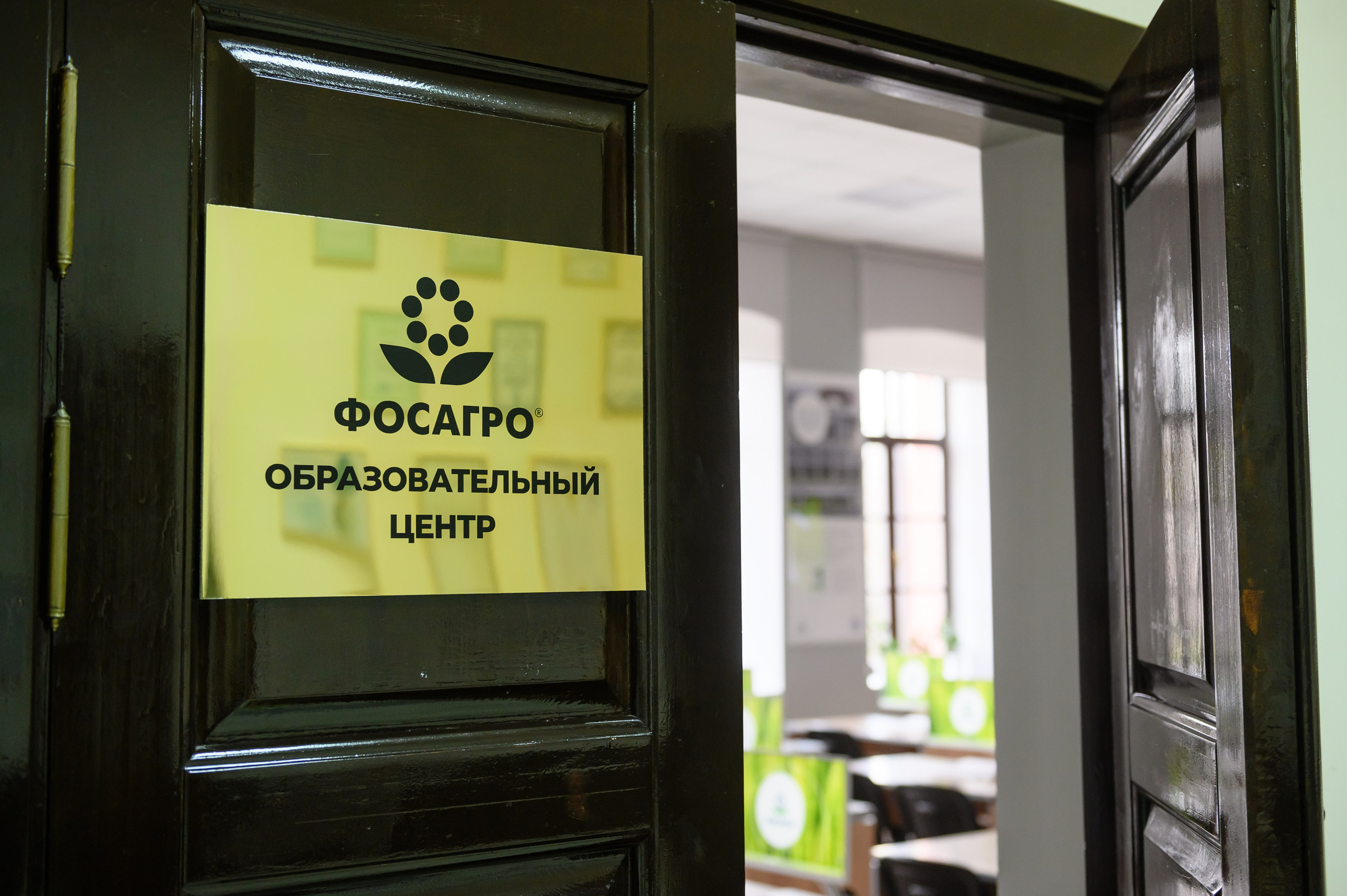 Проекты. Профессиональный фотограф Вячеслав Плацында | Липецк |