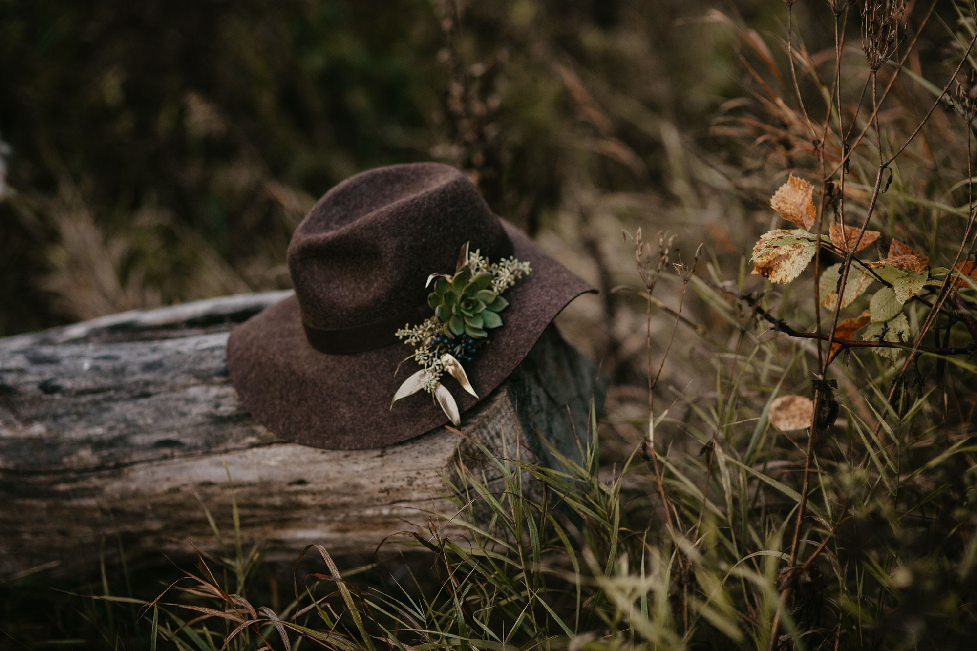 Портрет.природа. Фотограф в Москве и Будапеште