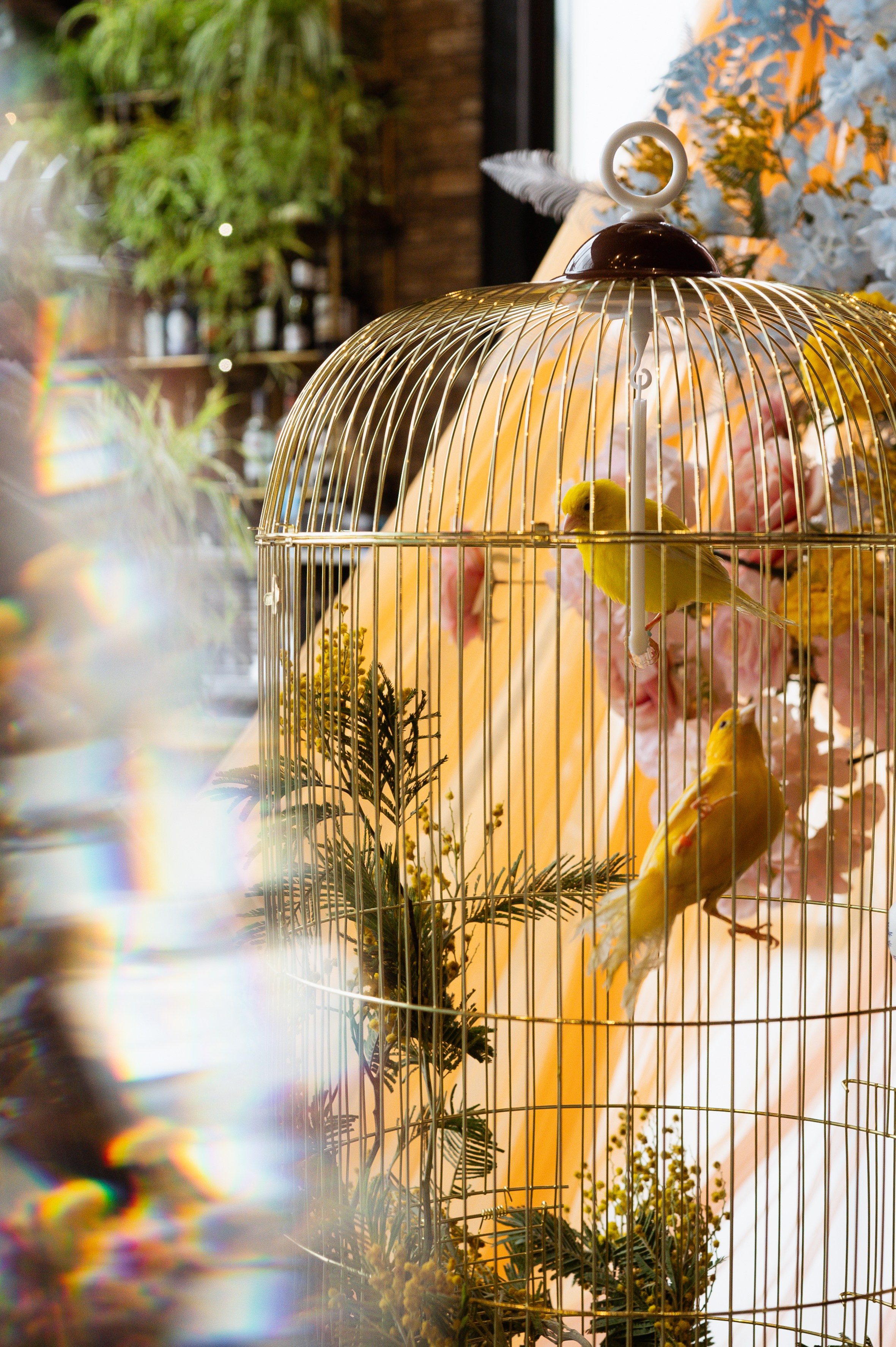 Свадебная фотосессия