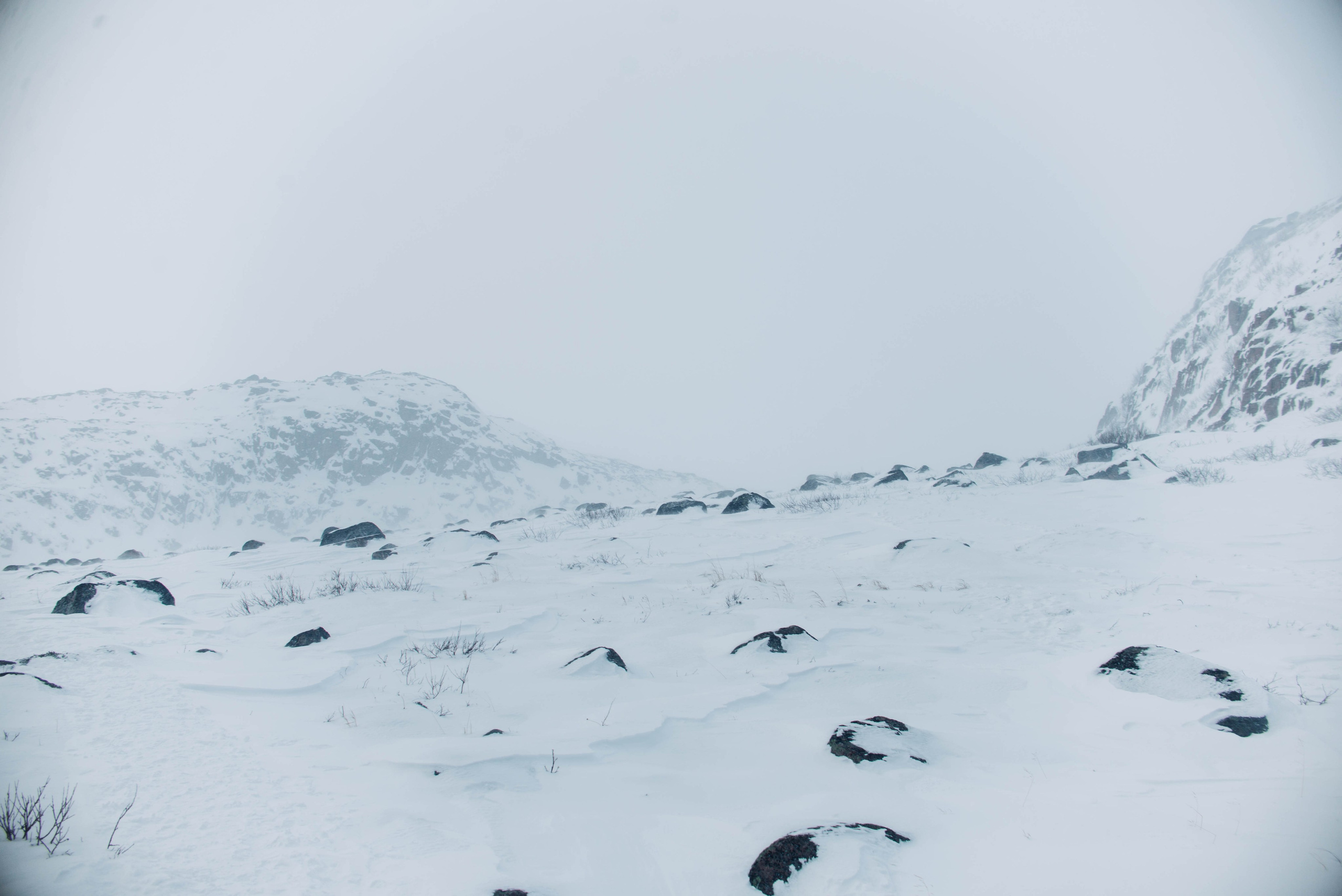 Мурманск, Териберка. Главная