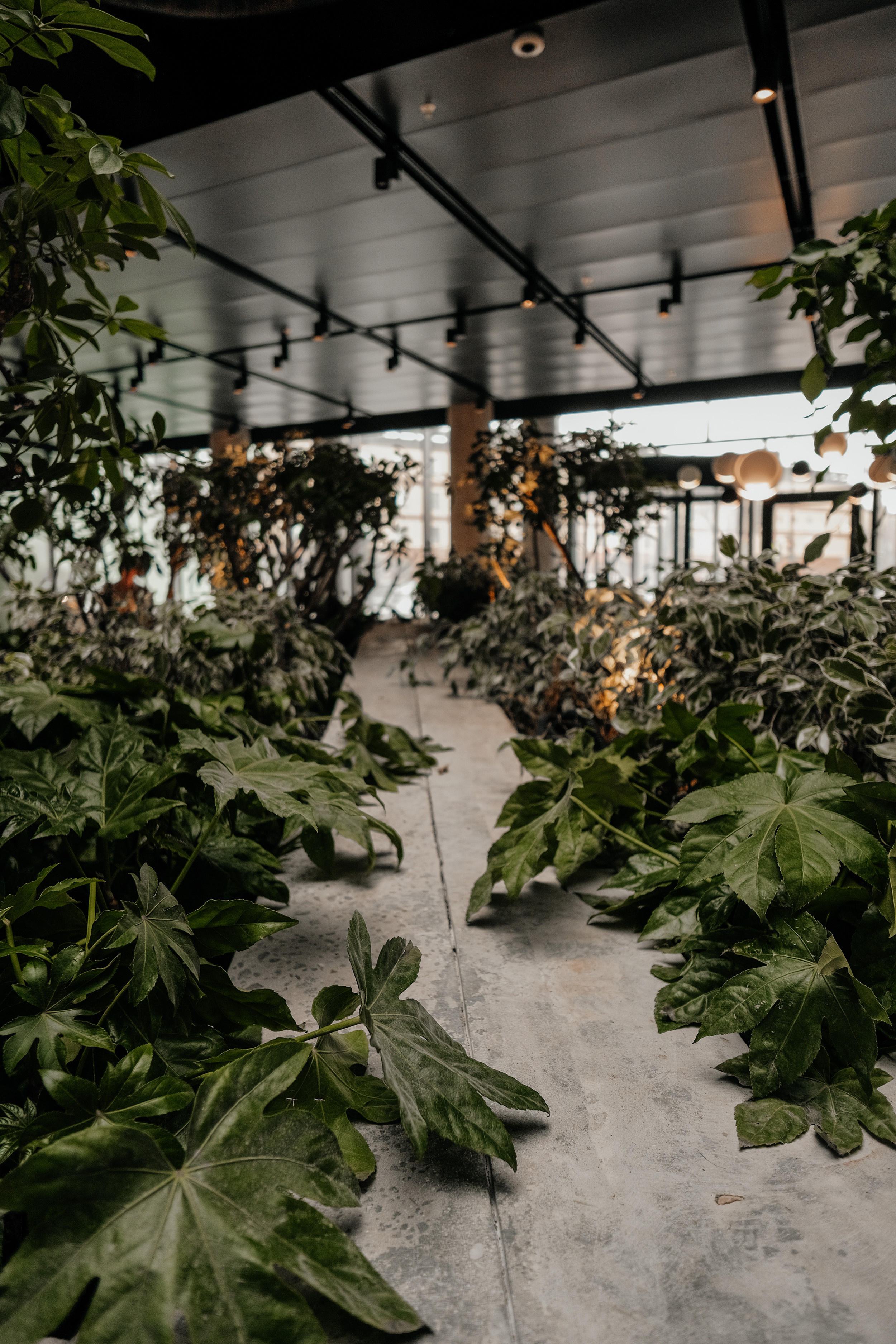 Dima & Mera. Фотограф Юрий Марилов Москва, Тюмень