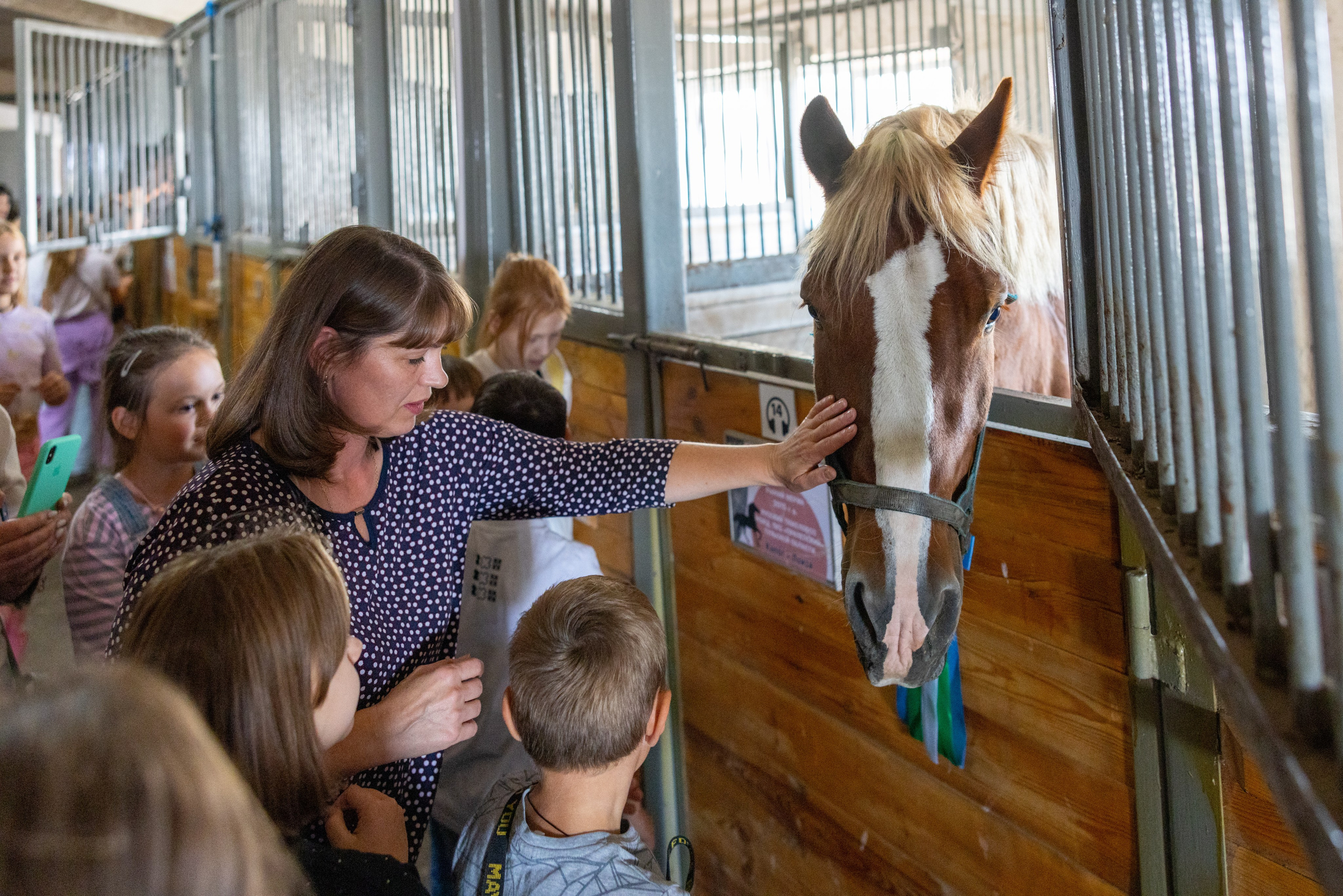 Поездка на поле Кулеково. Фотограф в Туле Крупский АнДРей. Фотостудия «КАДР71» в Туле