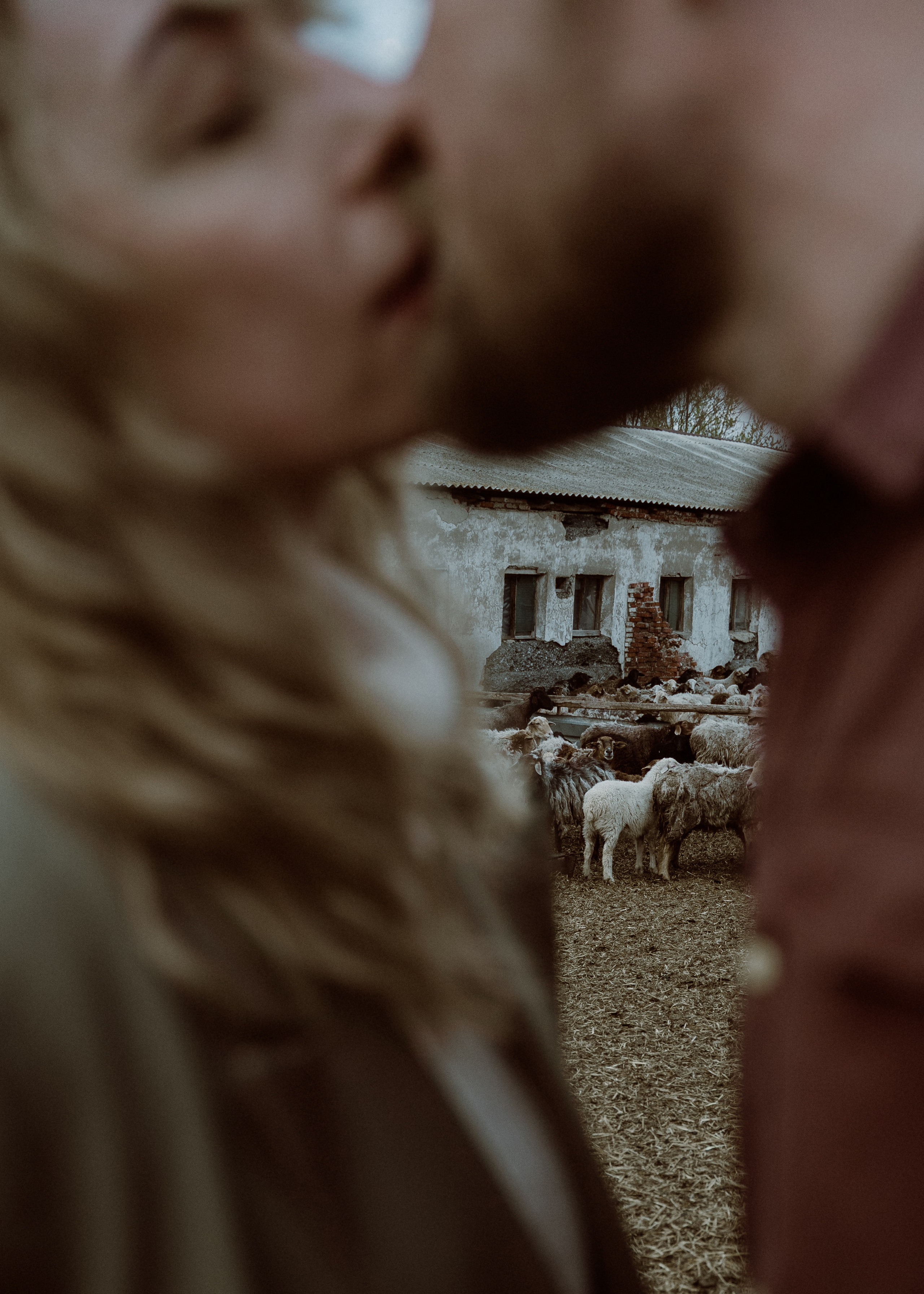 Иван и Лена. Свадебный фотограф Анжелика Сариева