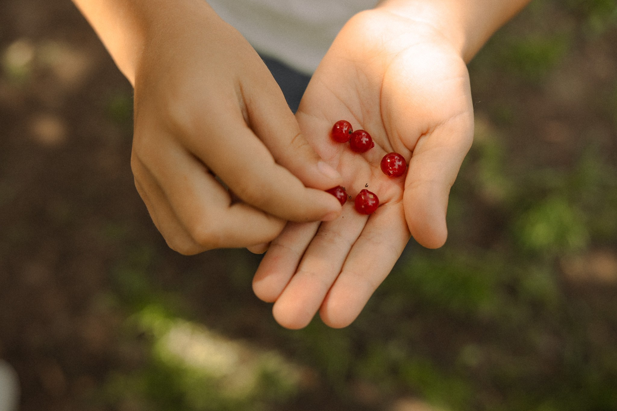 Когда семья вместе. Семейный фотограф Москва детский фотограф Одинцово фотосессия беременности Рогачева Екатерина