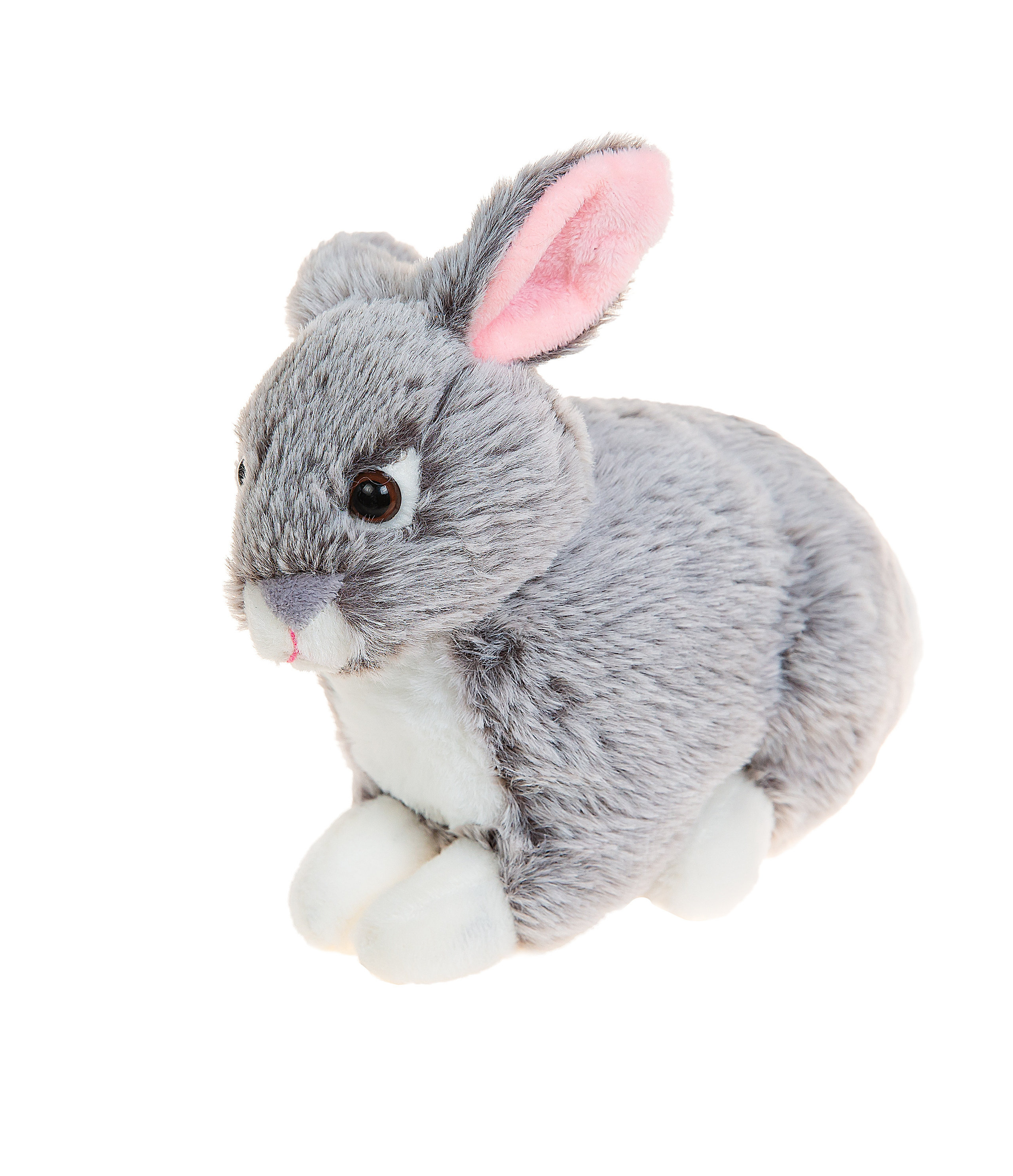 WB: K.I.T. Фотограф и видеограф в Улан-Удэ: Аюна Габагуева и Артём Шаханов