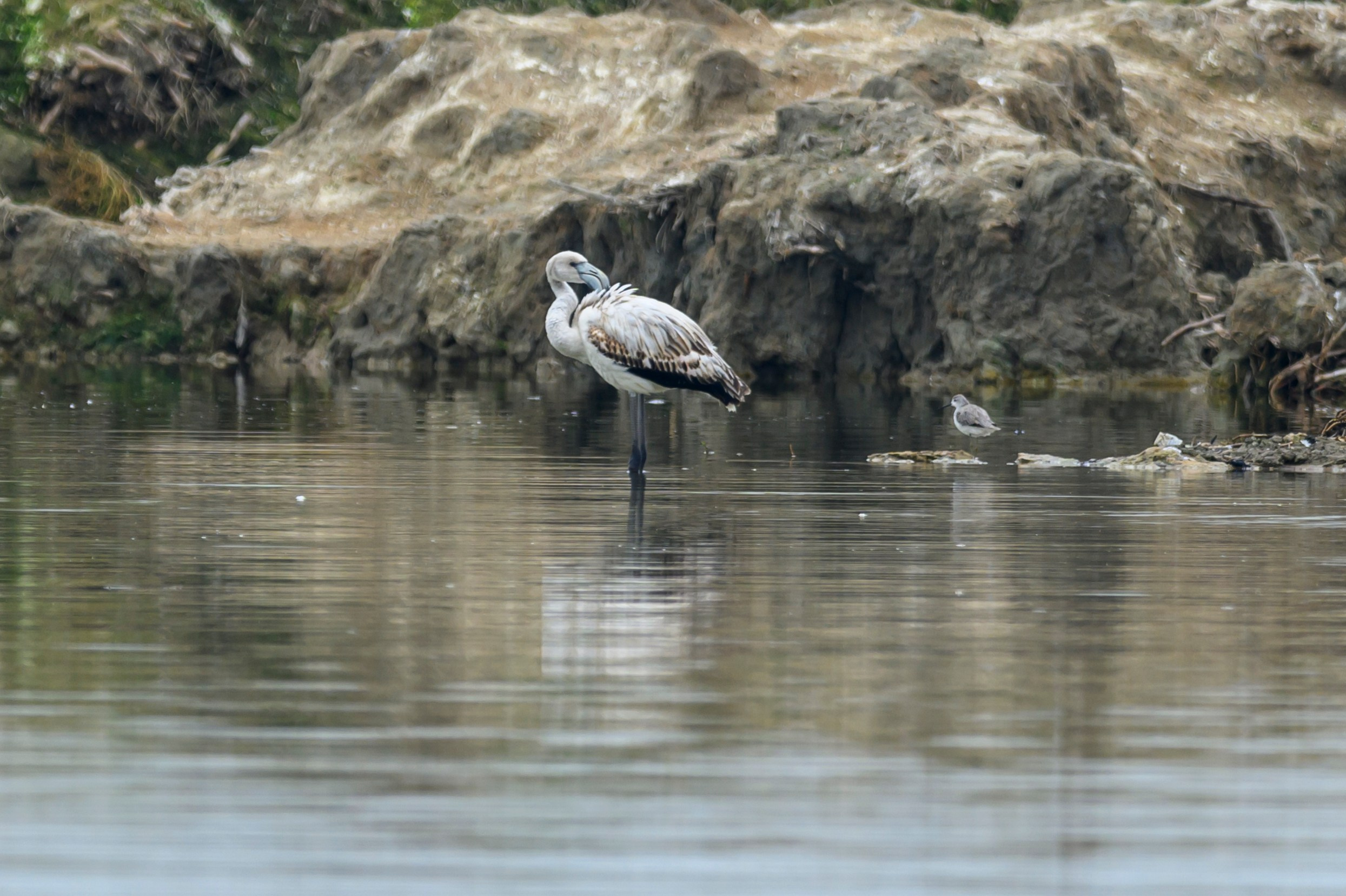 Дагестан. Ноябрь 2025. Фотограф Сергей Пупонин