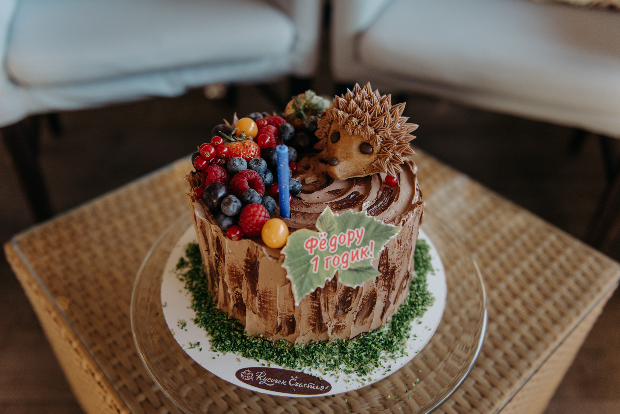 фотограф на детский день рождения, фотосъёмка детского дня рождения