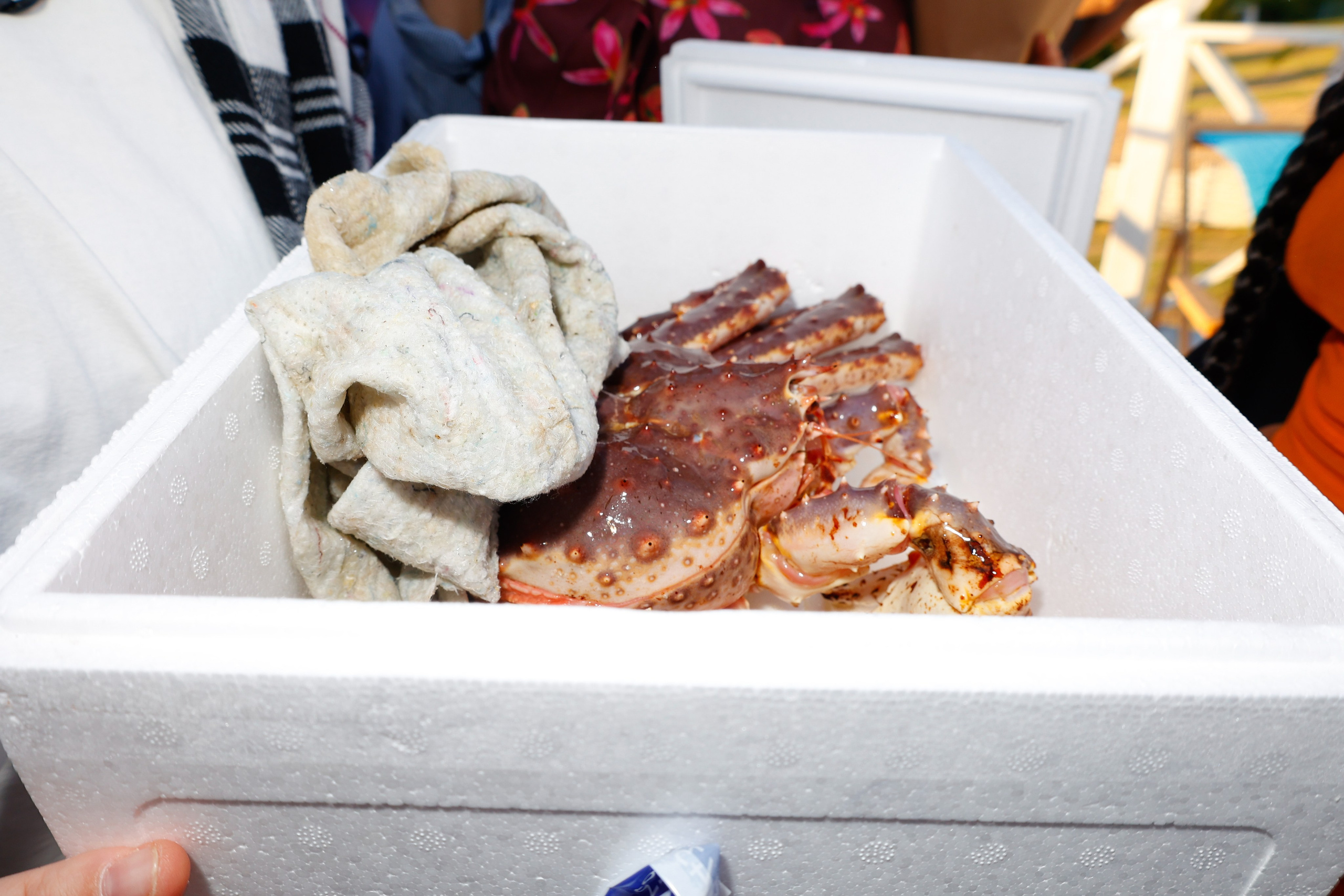 КАТЯ ГОЛЫШЕВА. Nikolskayasecular