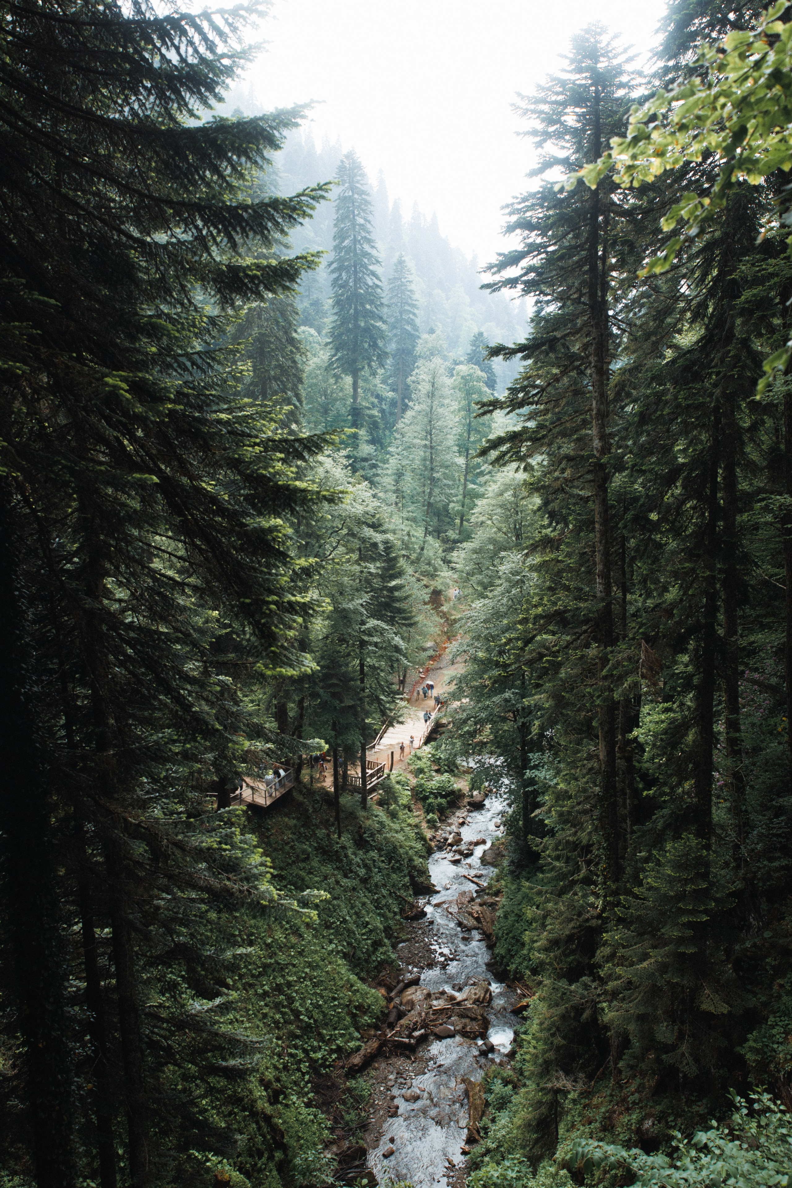 Nature. Артем Корнев Фотограф