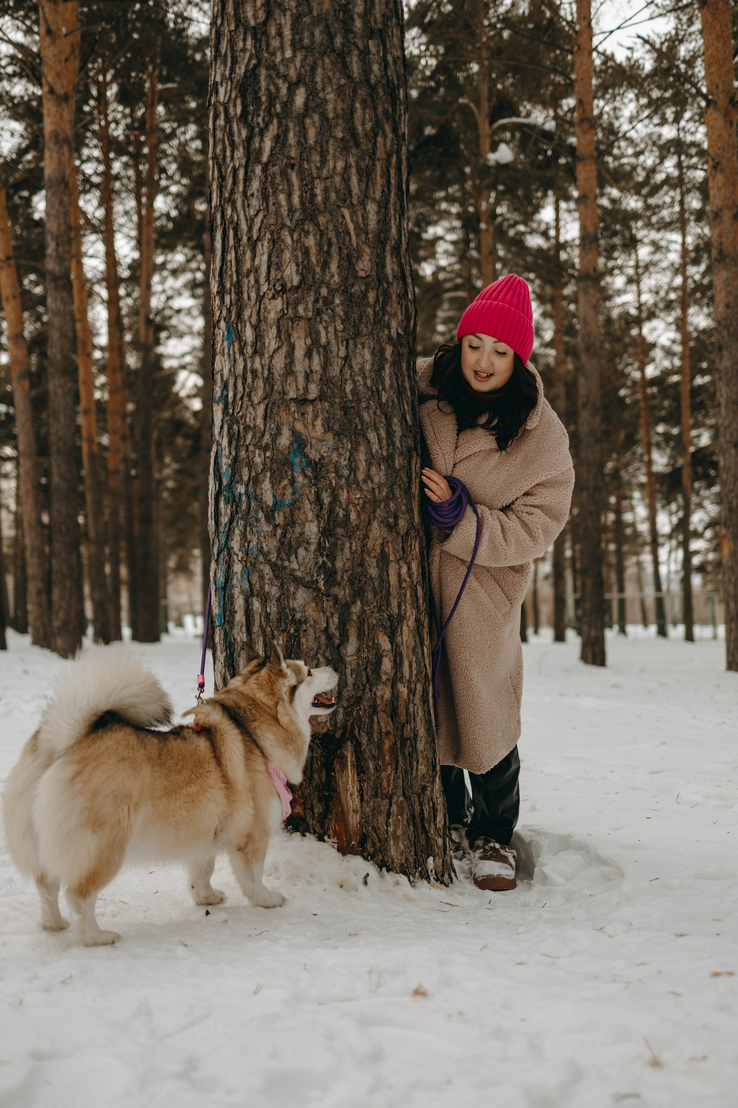 Варвара и Шелби. Фотограф-анималист в Екатеринбурге | Кристина