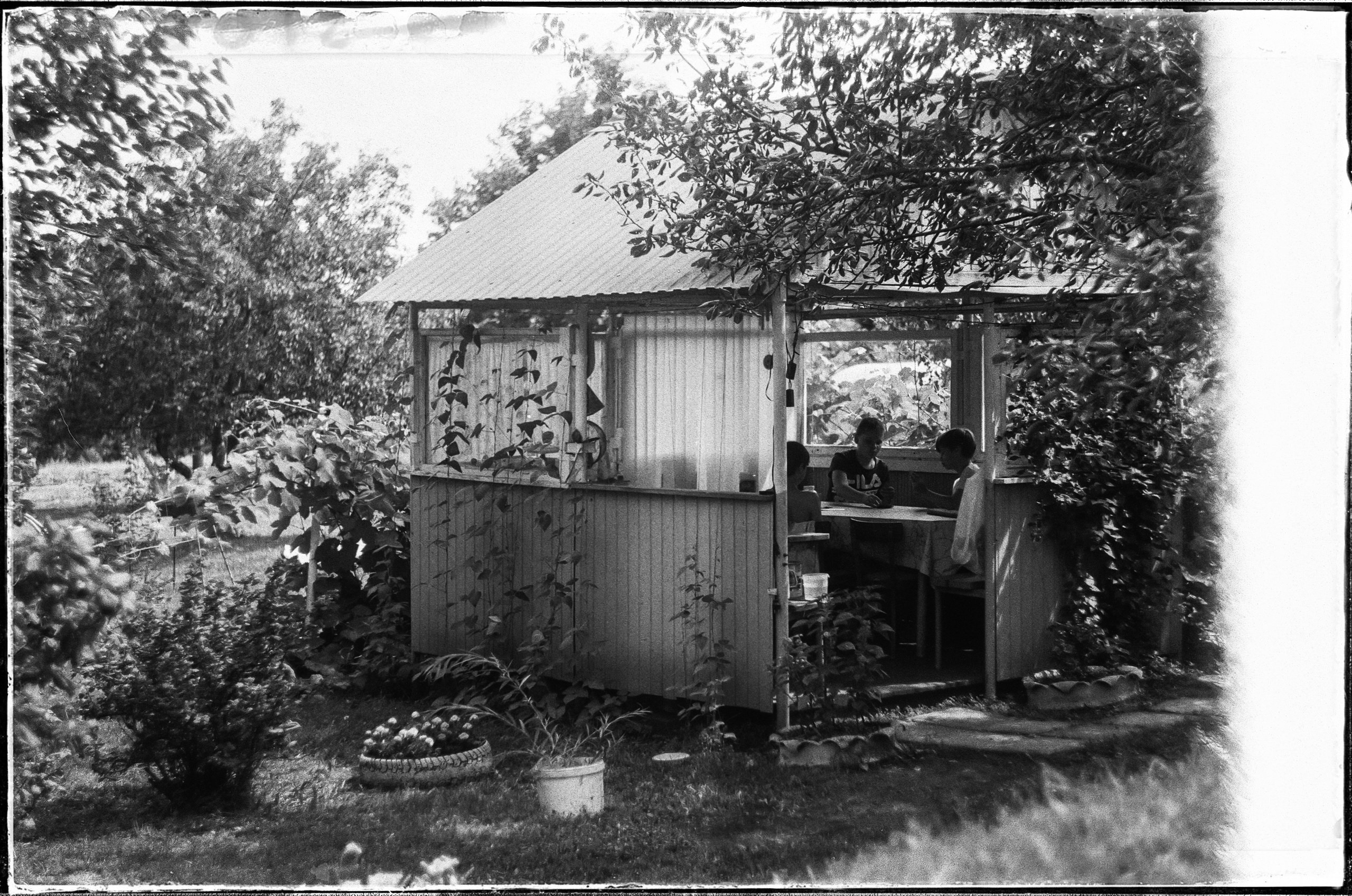 Пленка. Деревня. Лето. Семейный фотограф в Москве Марина Аргунова