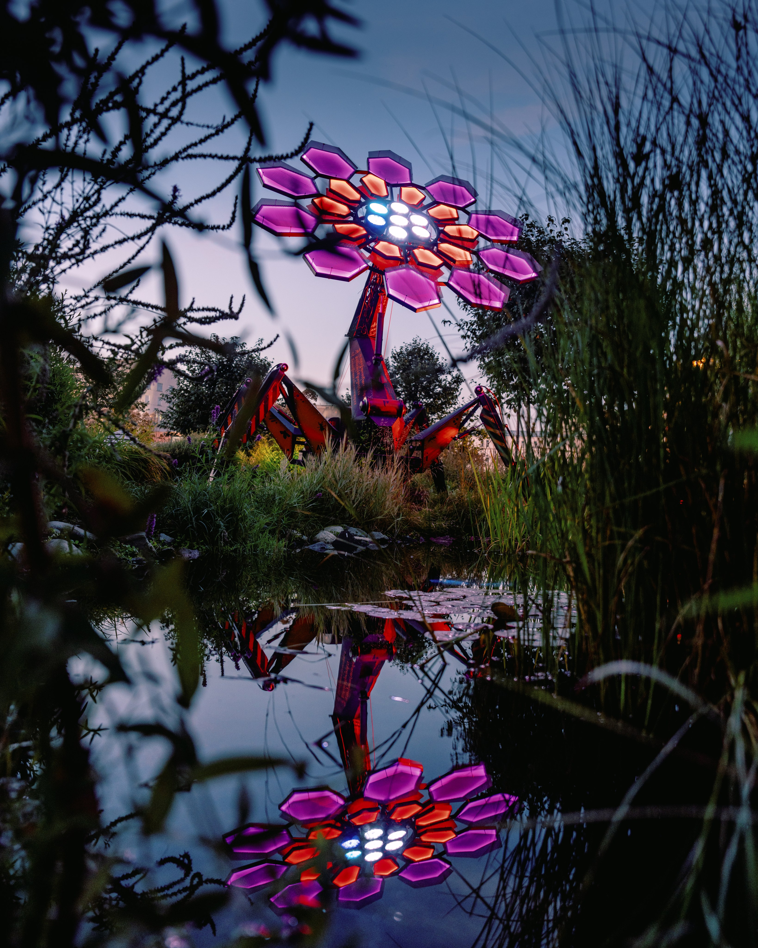 PANTERRA, Cyber Flower. @tomrus: Рустам Шагиморданов — фотограф