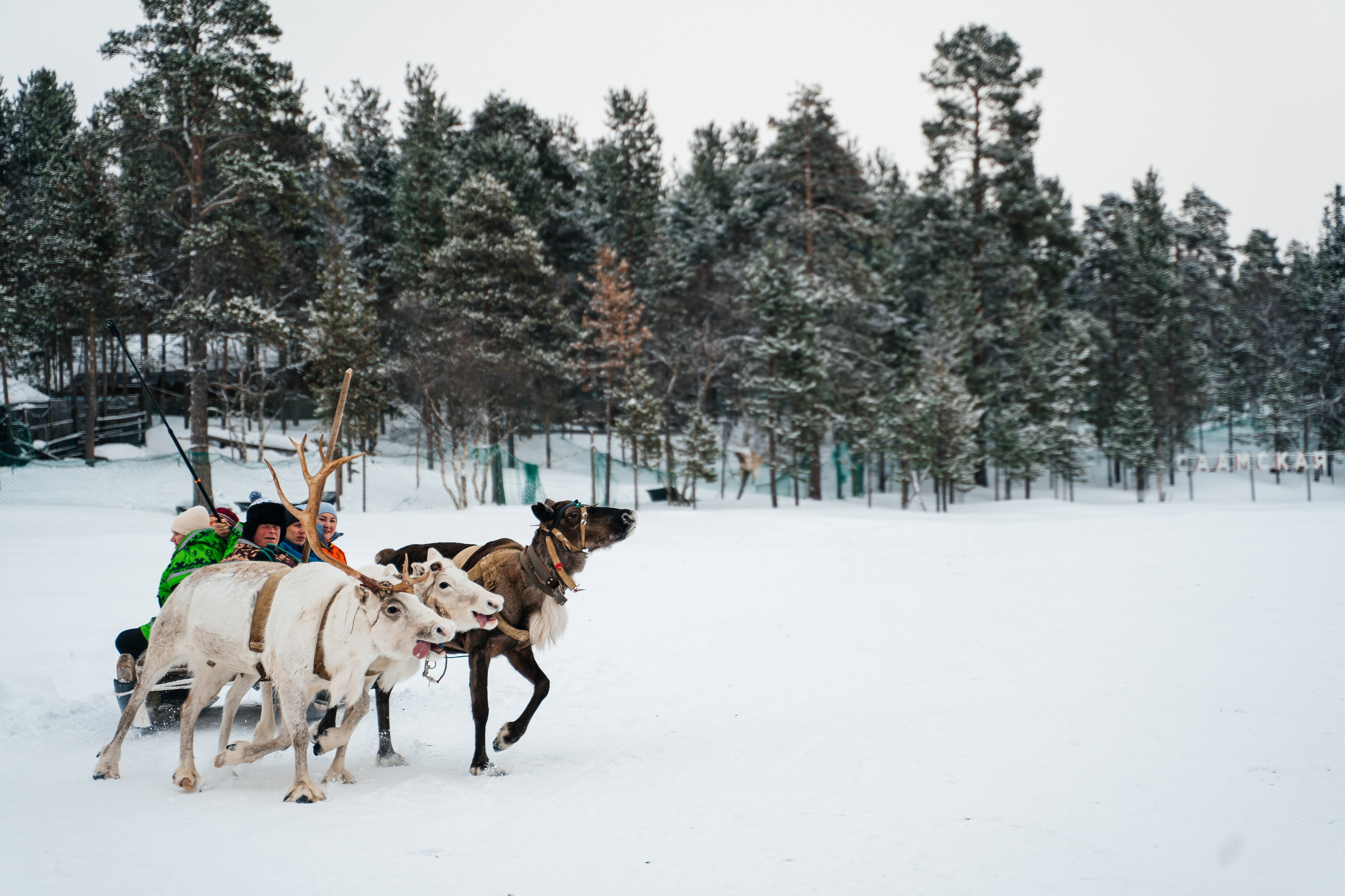 Териберка. Семейный фотограф в Санкт-Петербурге