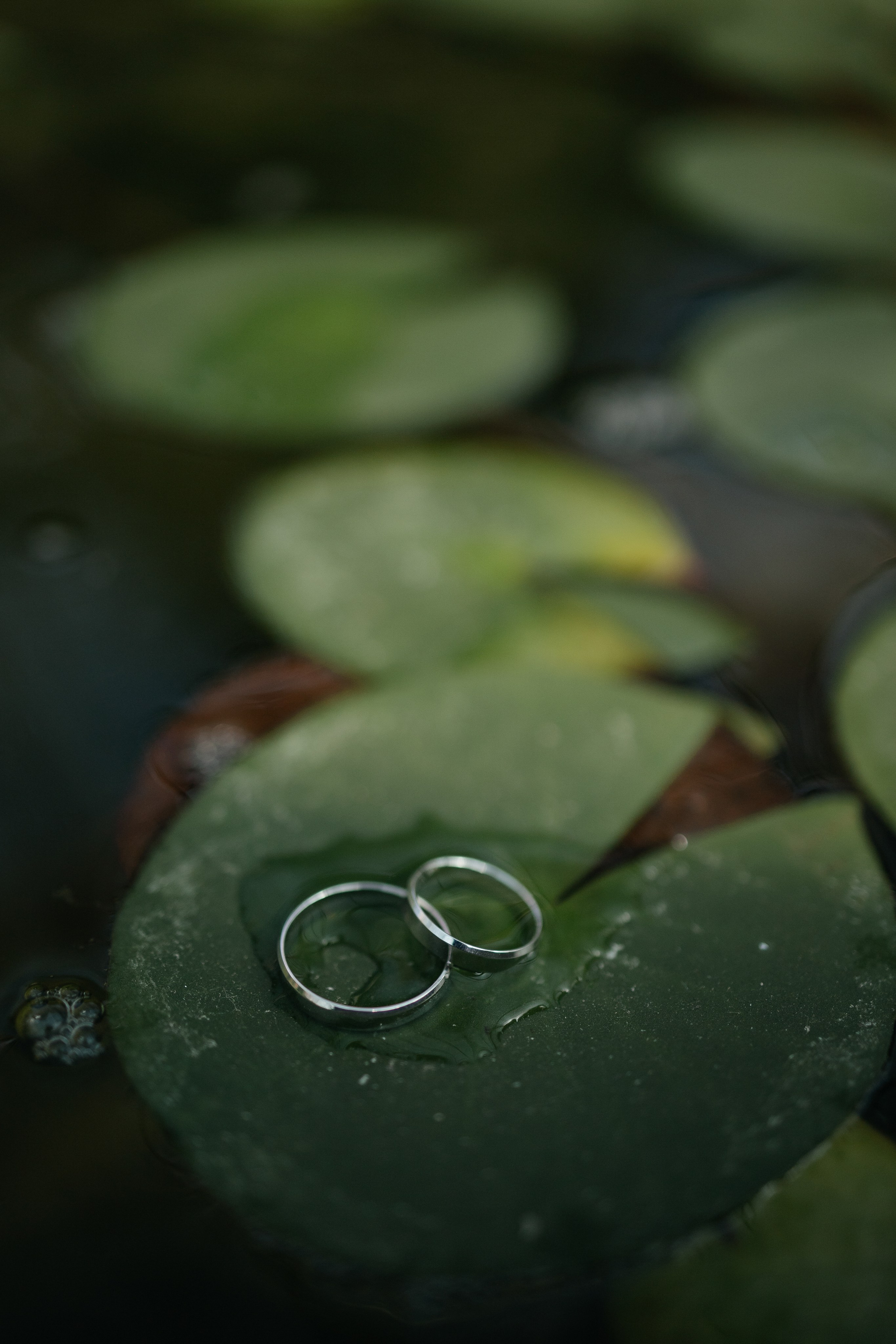 Фотограф Крохин Олег