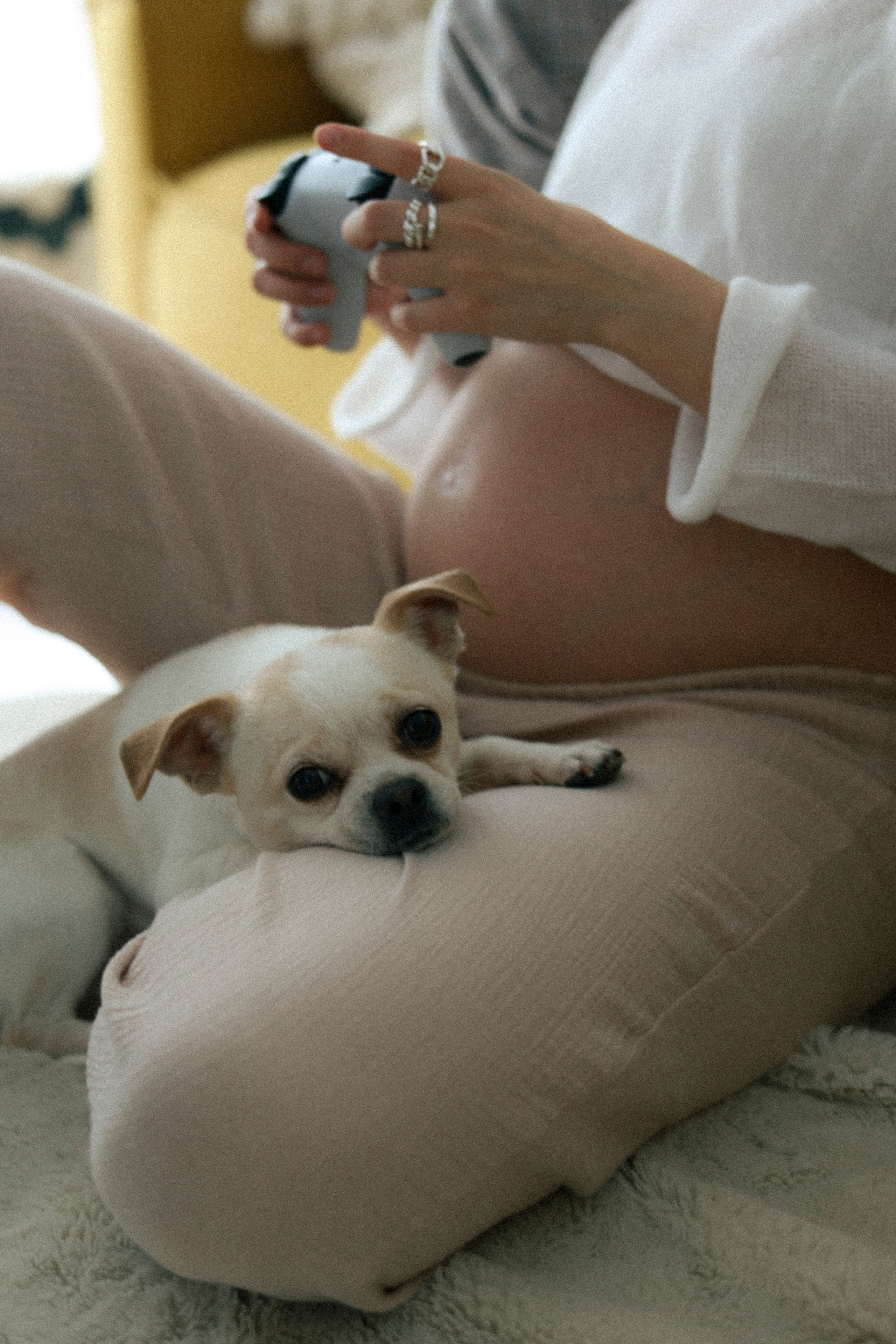 Марьям и Серафим. Фотограф НатаФото (Наталья Яковенко) Дмитров Москва Питер