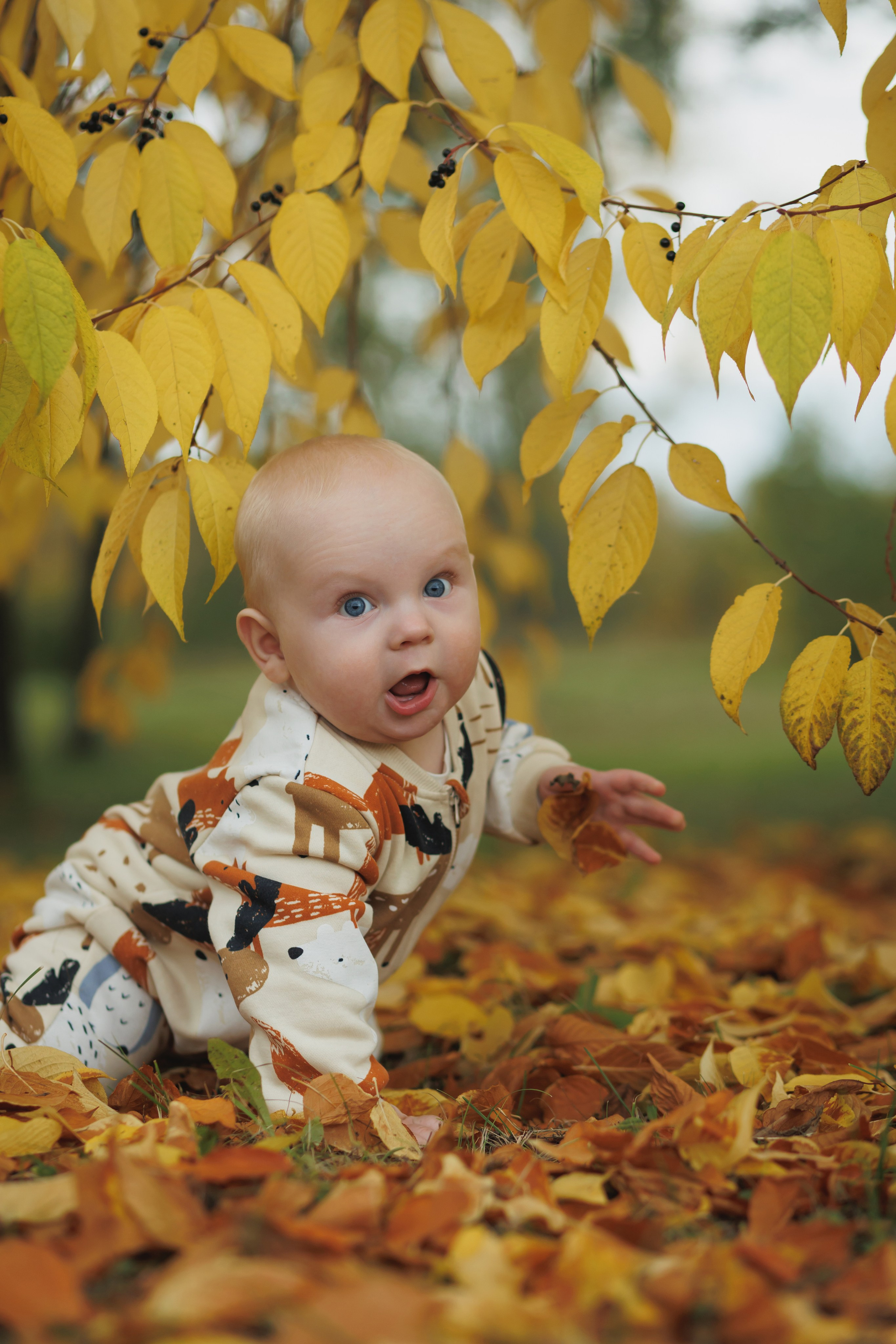 Семейная. Свадебный фотограф Красноярск — Кристина Ива