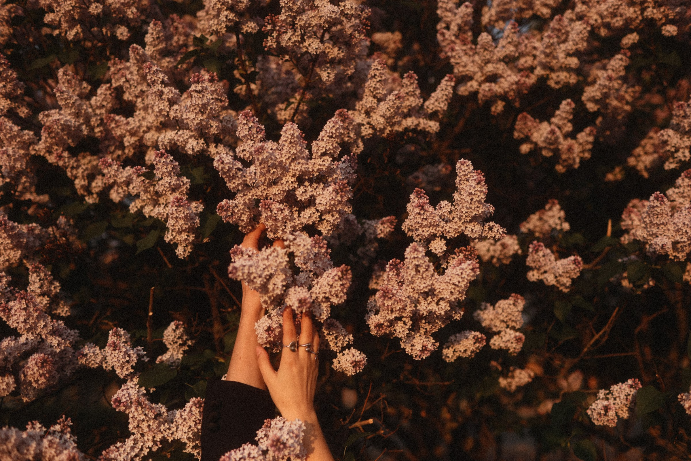 Питер. Свадебный и семейный фотограф Москва, Спб, Крым Игорь Сазонов