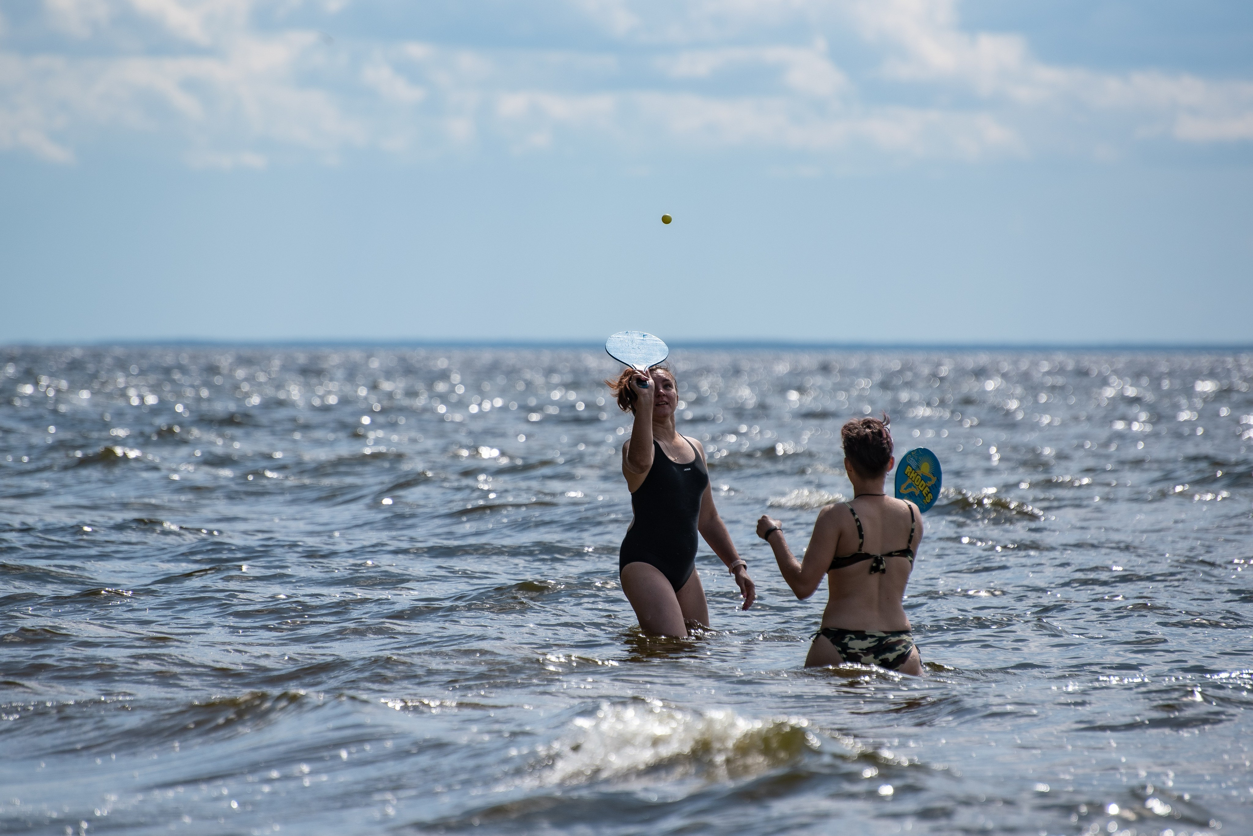 Всплеск эмоций 2023 Кинологический фестиваль. Фотограф Макс Огурцов в Нижнем Новгороде