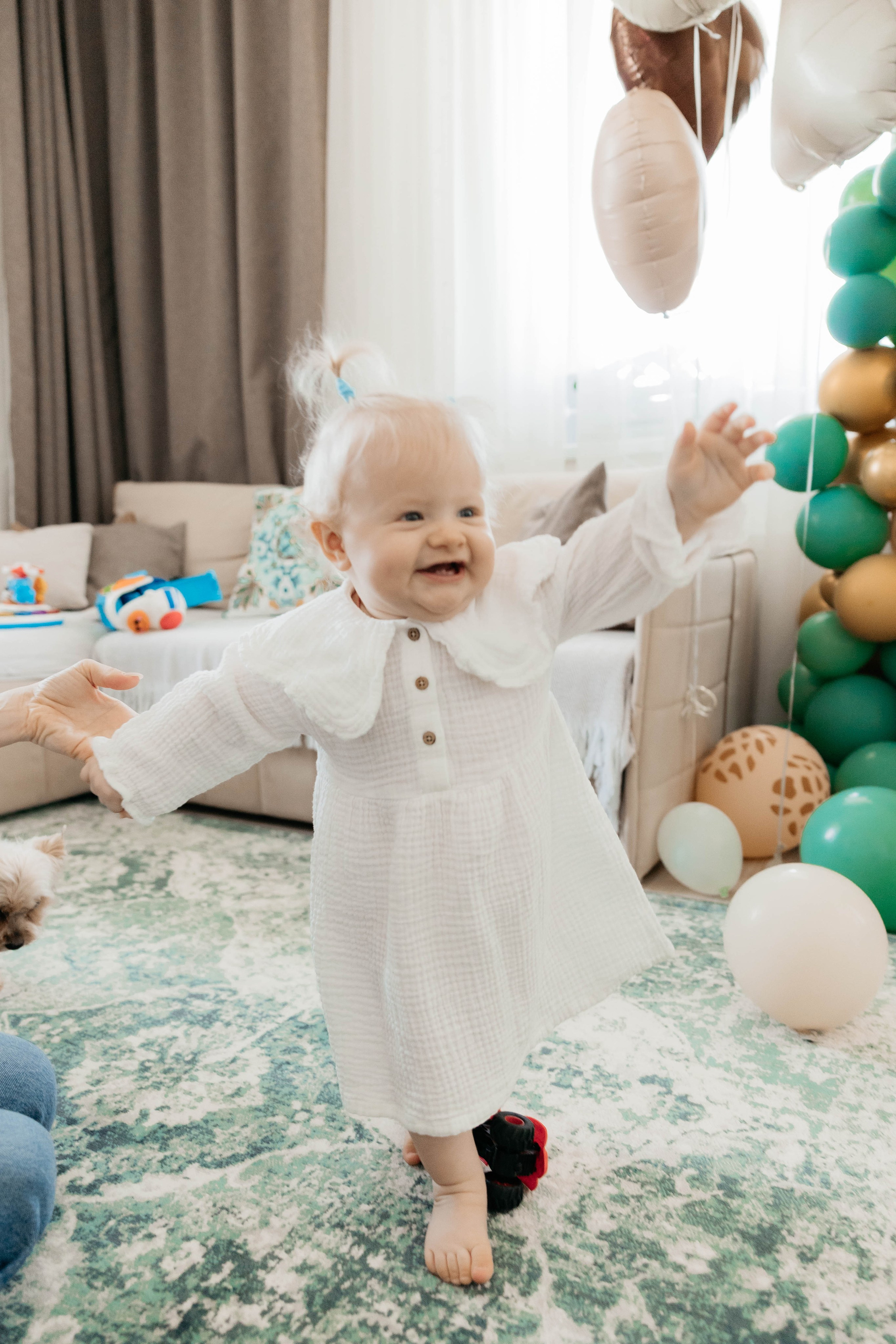 Лев. 2024 г. Персональный фотограф Катерина Литвинова