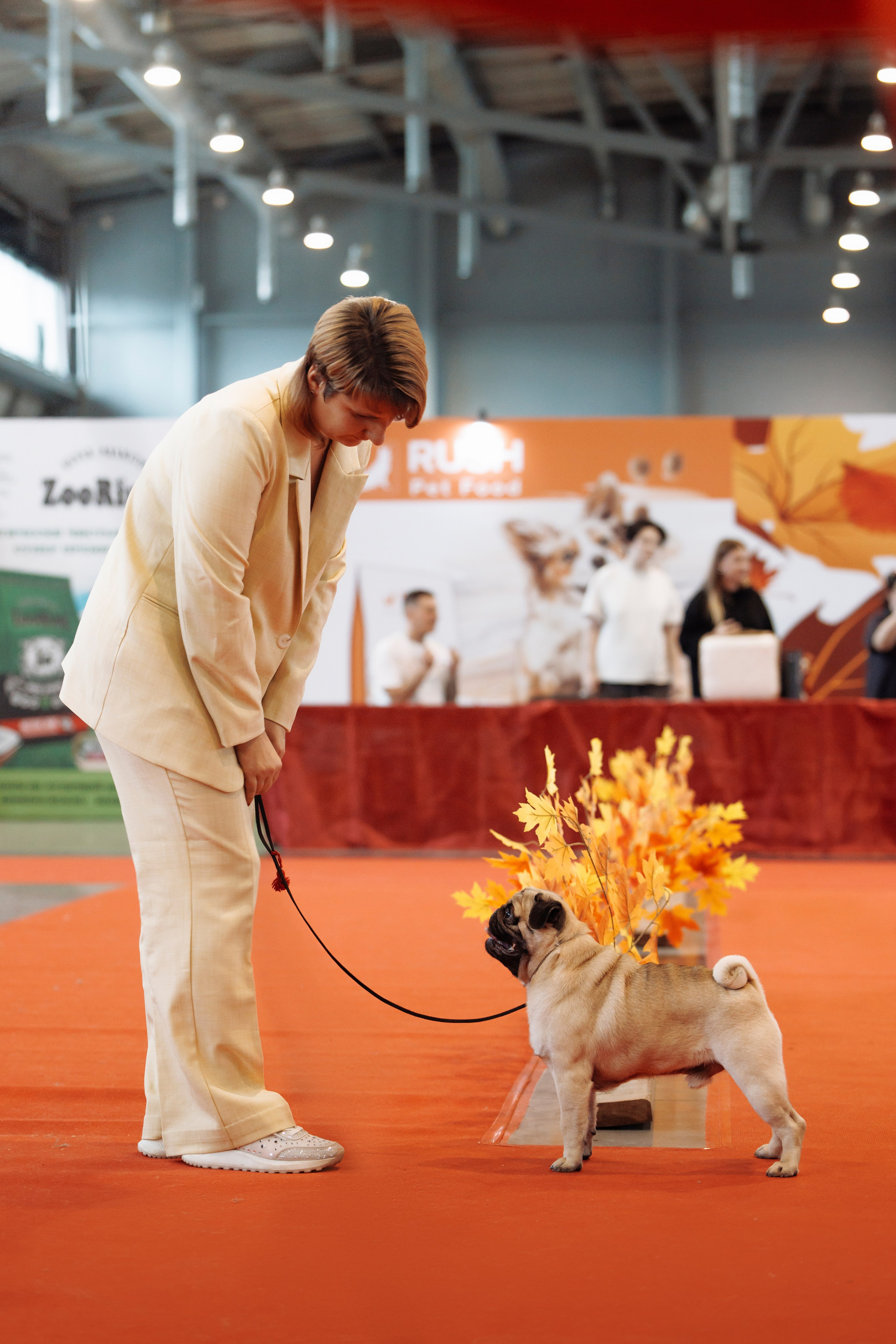 18/19.10.2025 — Екатеринбург. Фотограф-анималист Саша Вязьмина