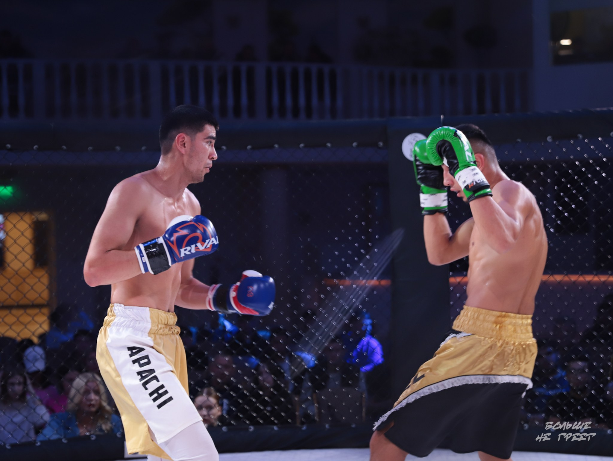 SABR FIGHTING. Больше не греет