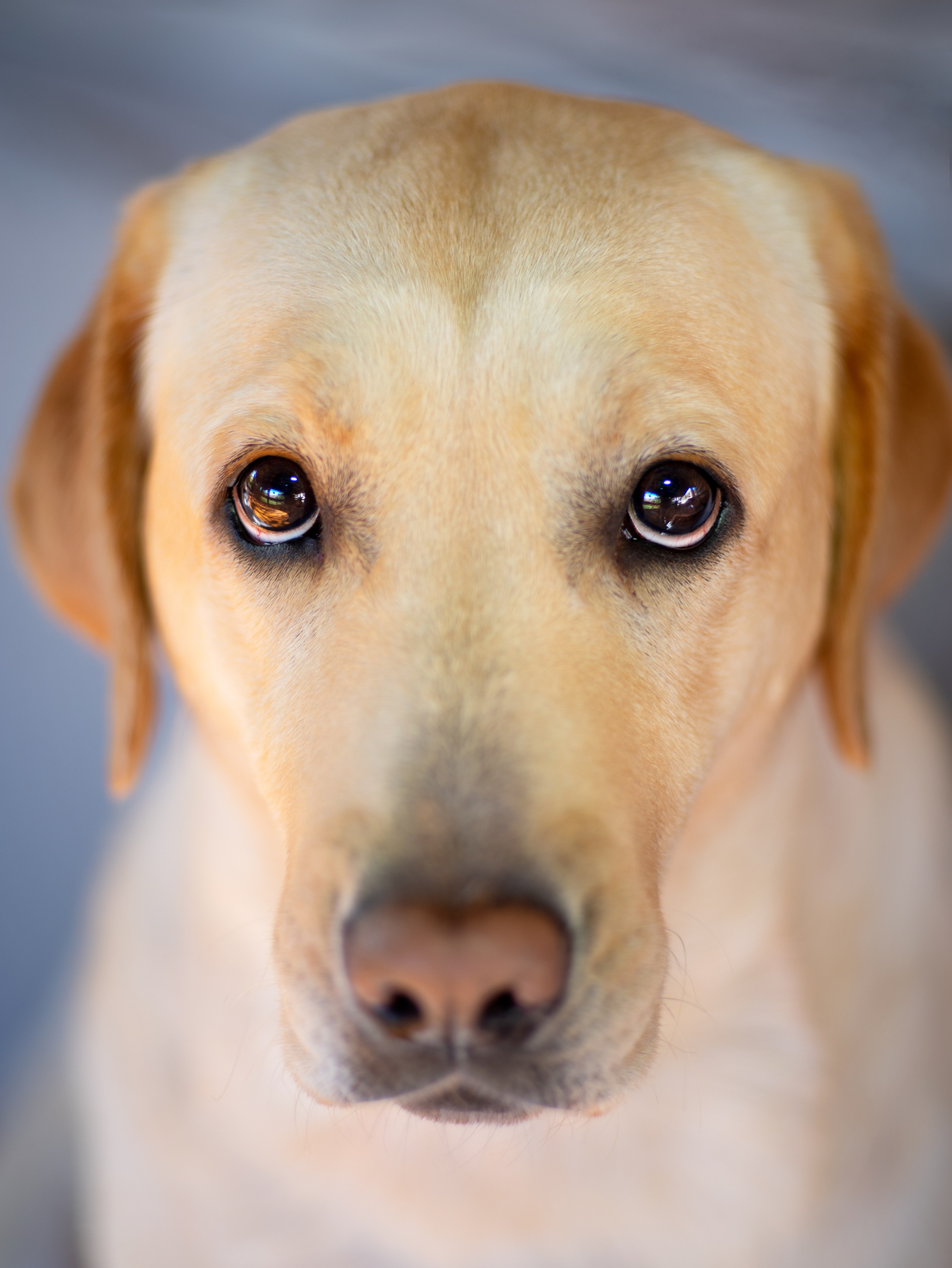 Истории. Фотограф Сергей Мосевнин