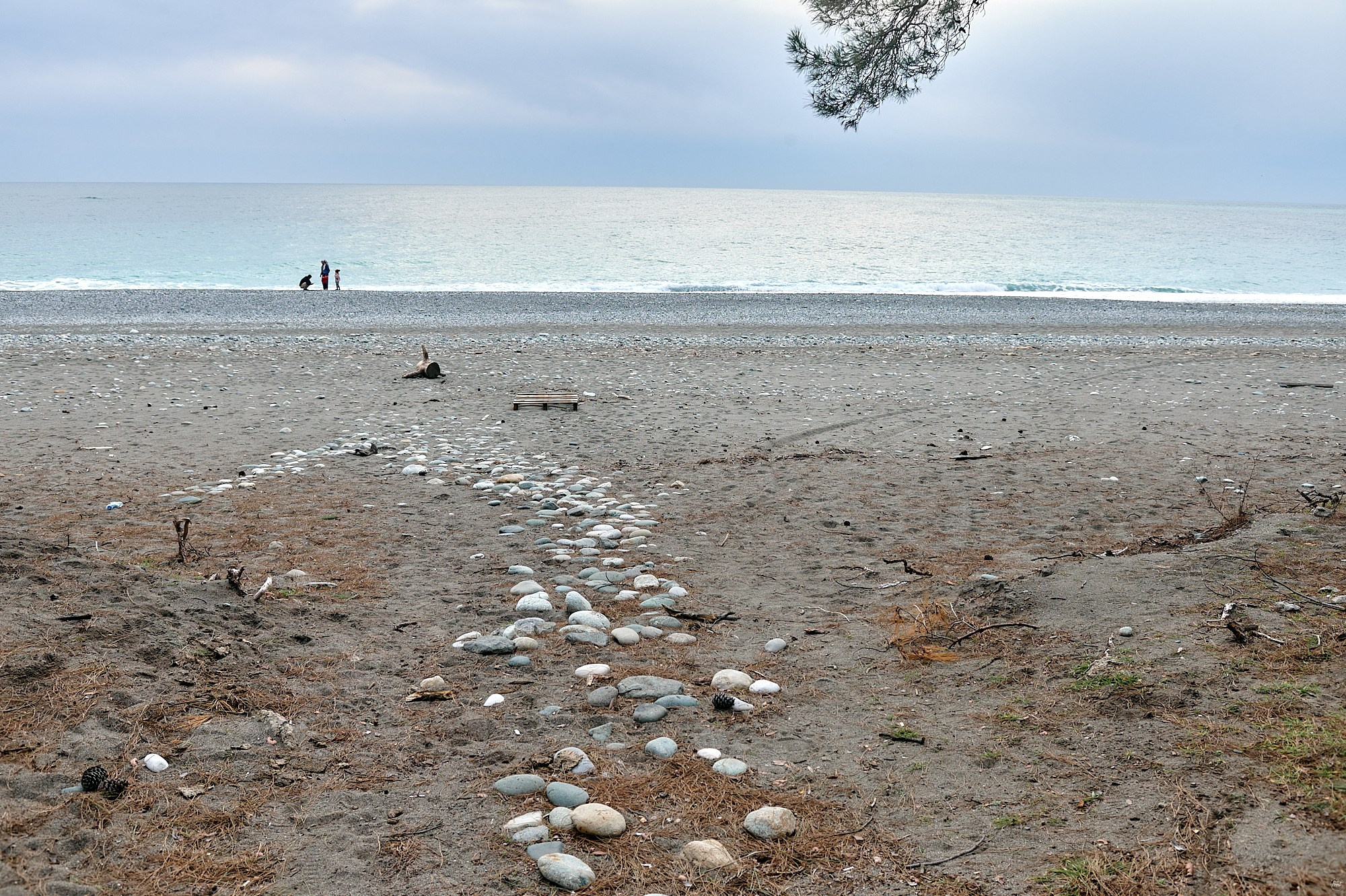 Пицунда, Абхазия. Декабрь 2024. Фотографии отовсюду и обо всем
