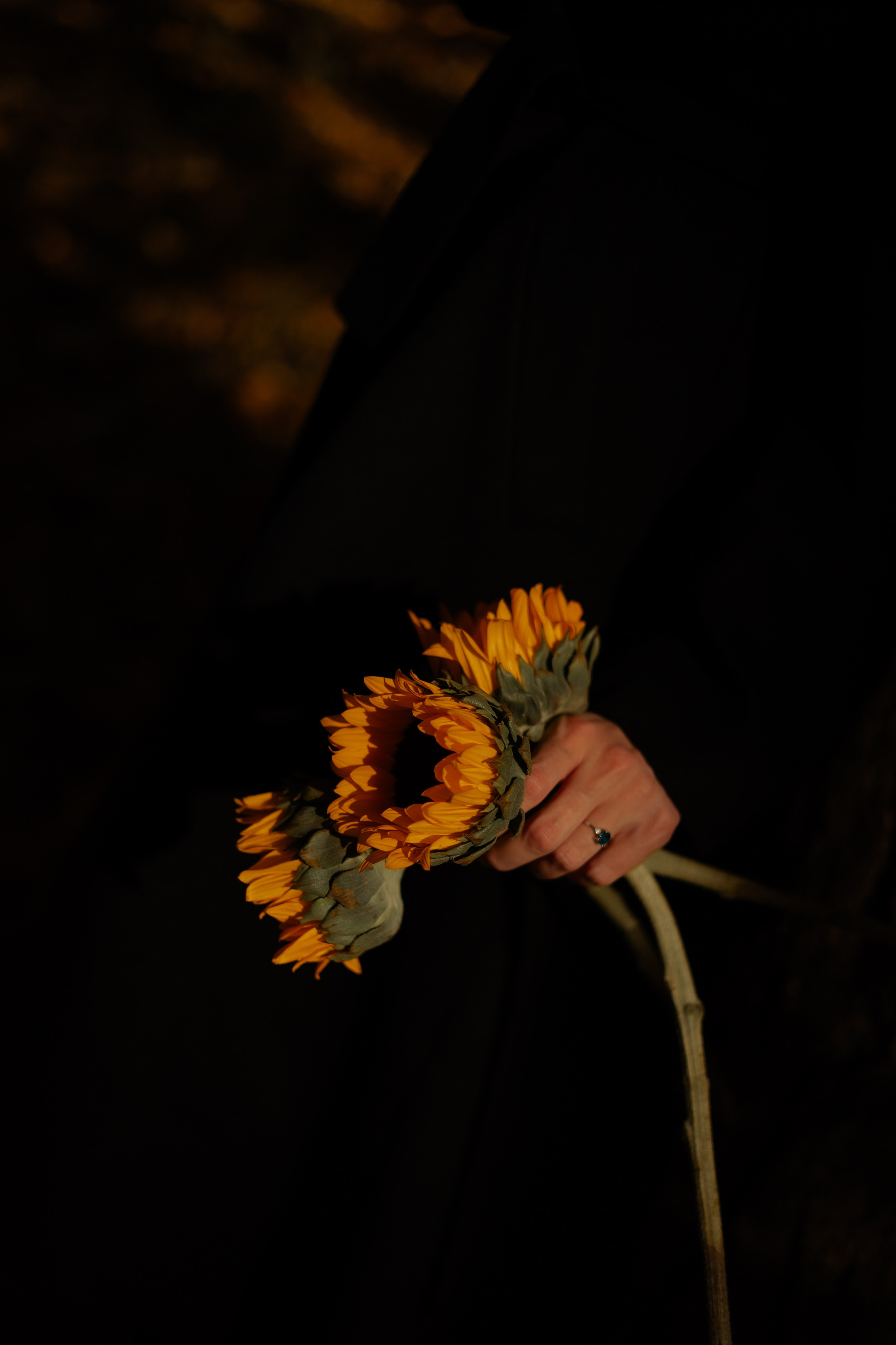 Осени краски. Фотограф в Москве Дарья Гоглева