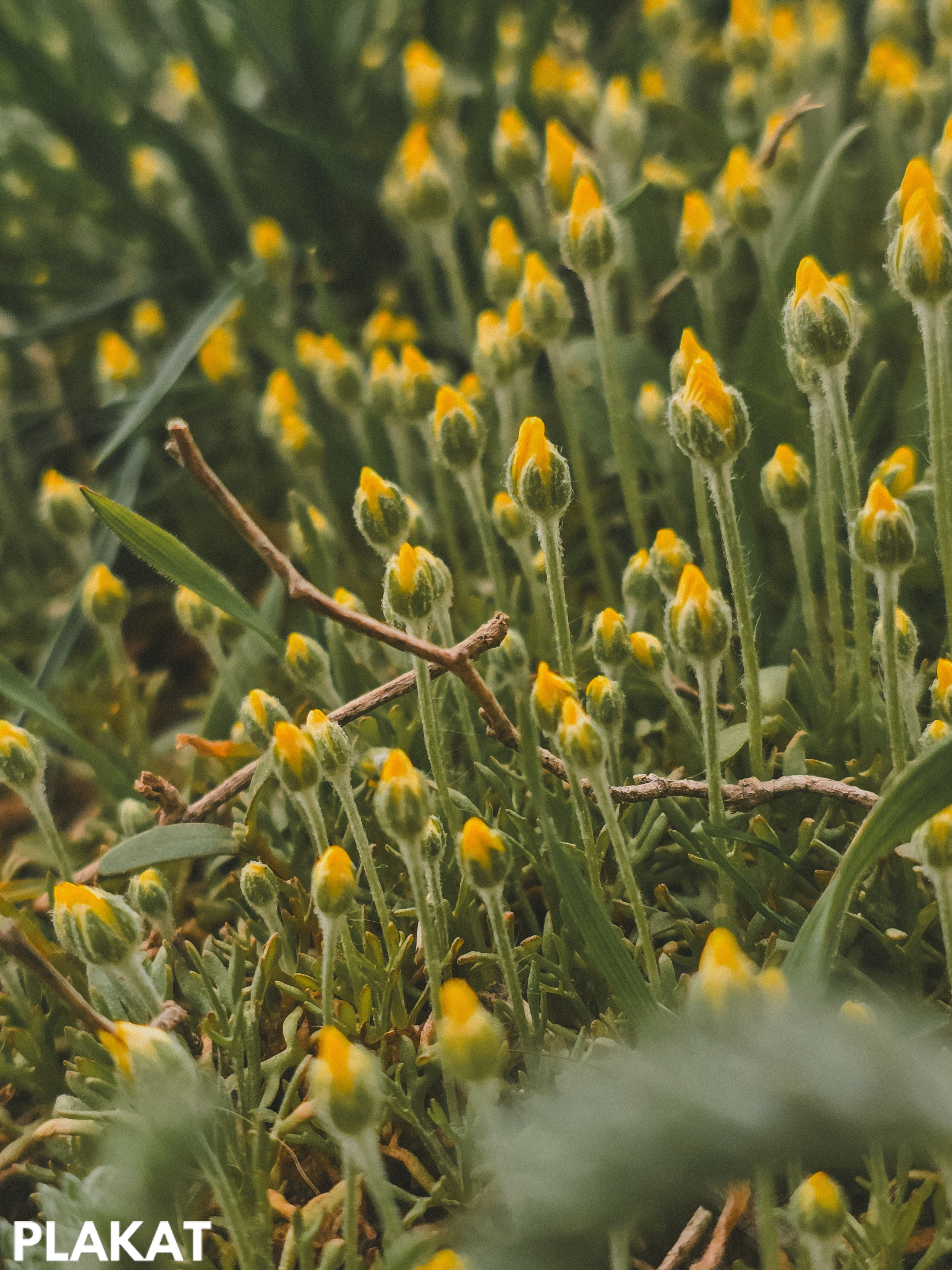 @chernoglasaja_photo 