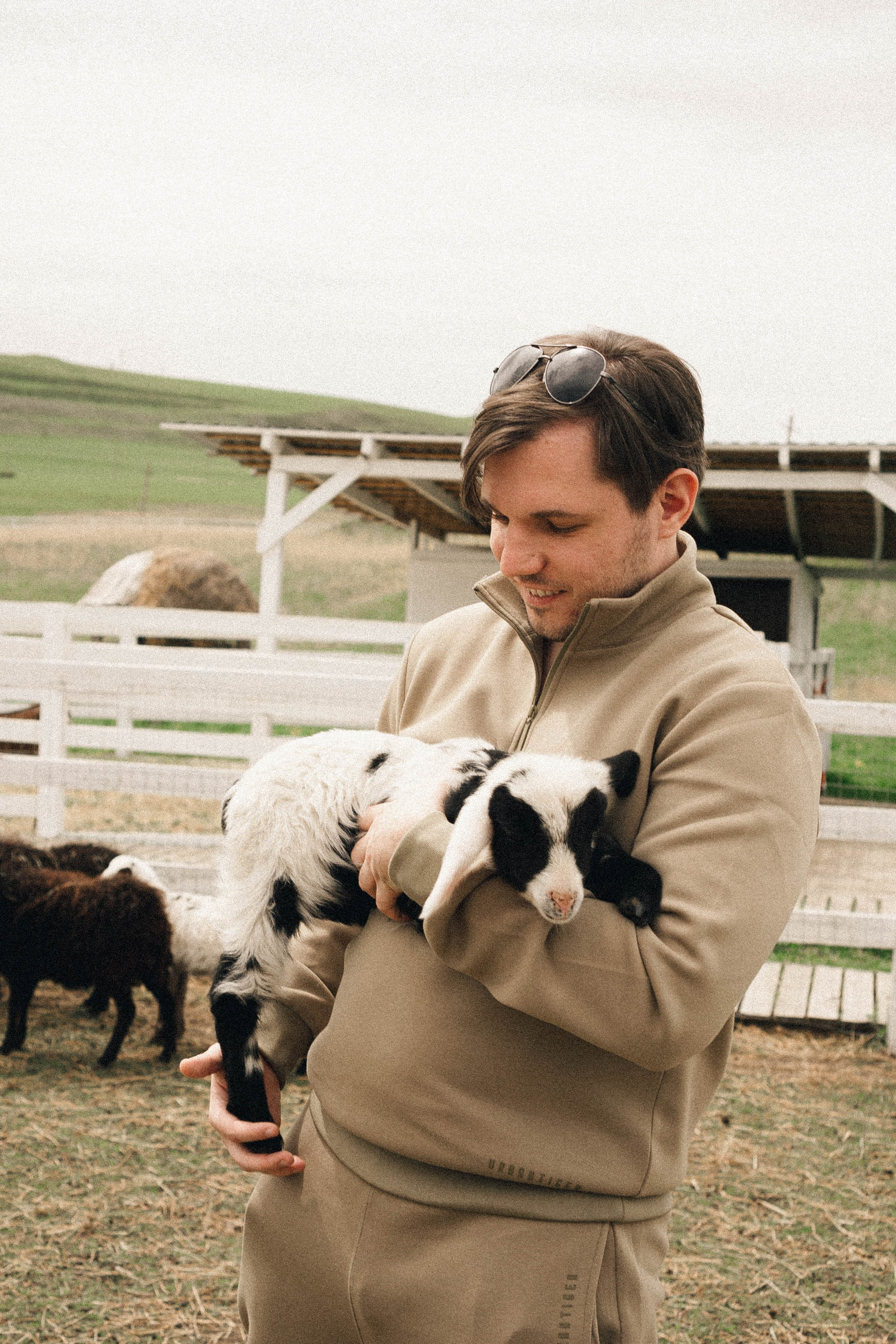 Ферма Альпак. Профессиональный фотограф, Санкт-Петербург — Виктория Богомолова