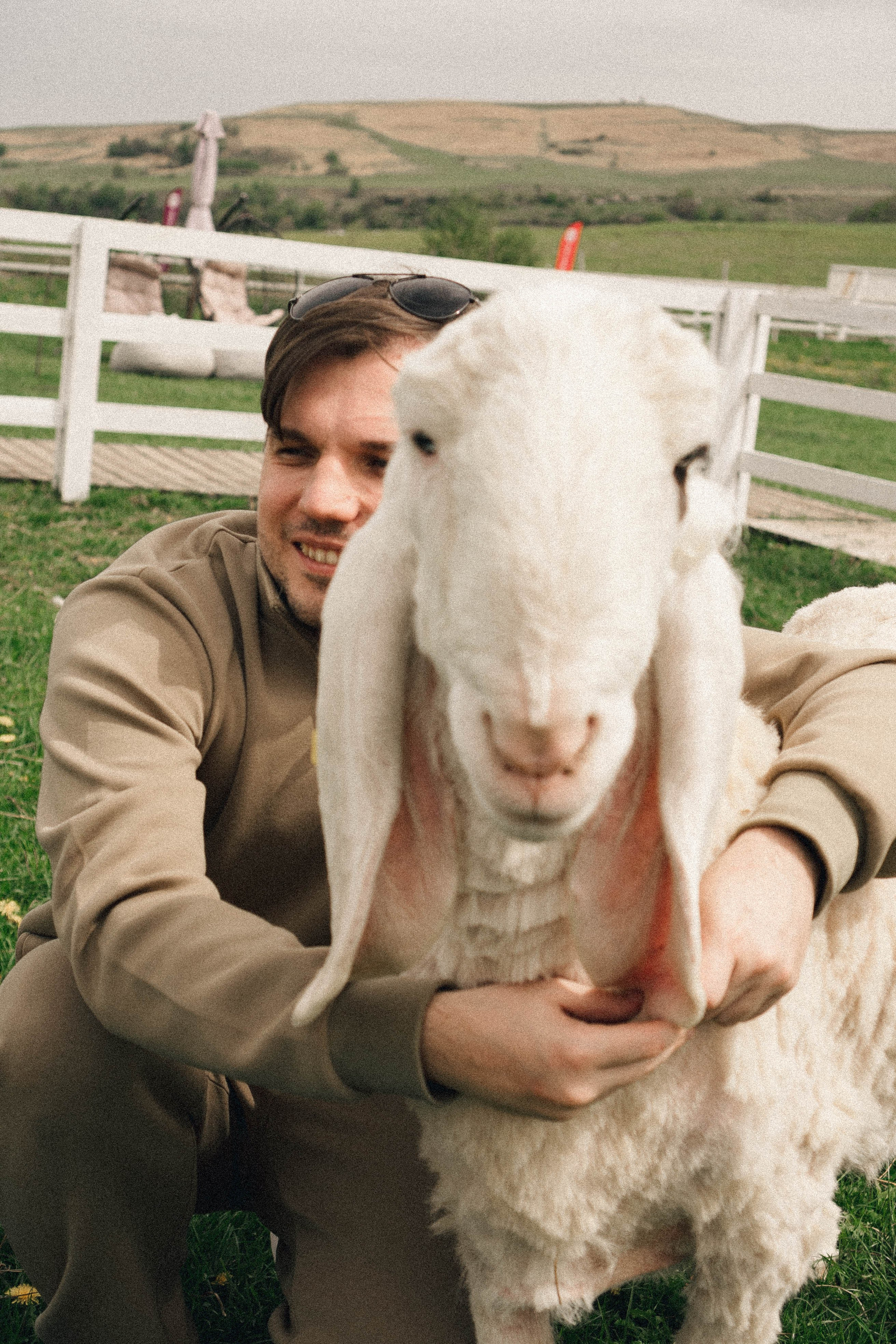 Ферма Альпак. Профессиональный фотограф, Санкт-Петербург — Виктория Богомолова