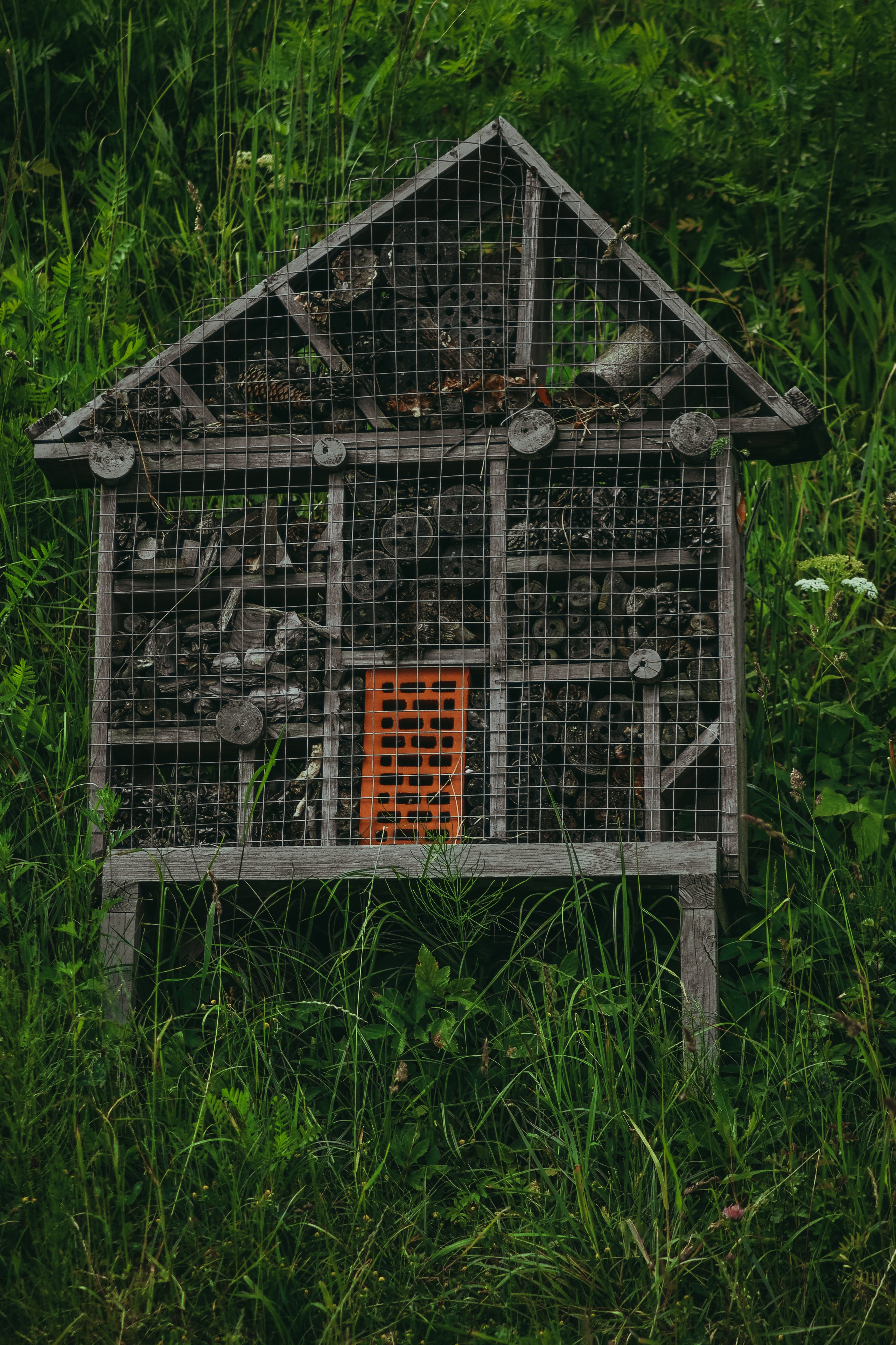 Т Е П Л Ы Й — З Е Л Е Н Ы Й. — Digital Noise —