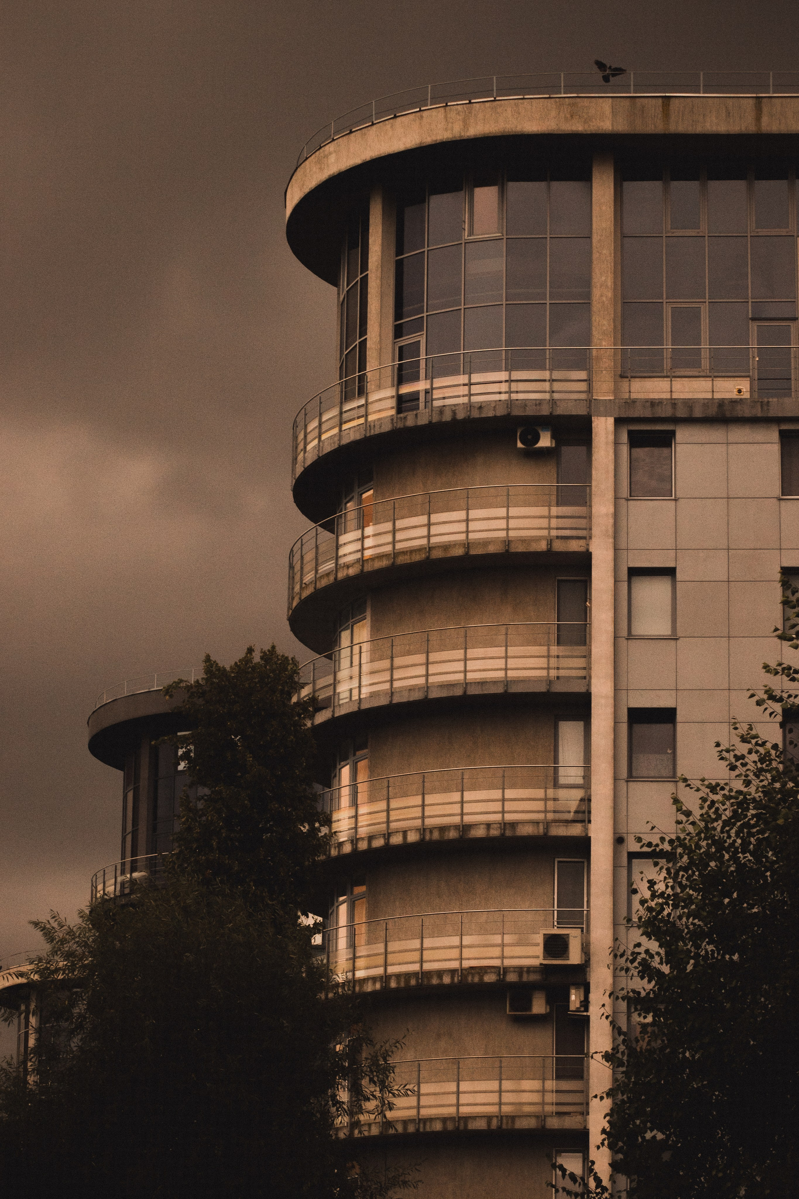 С Е П И Я. — Digital Noise —