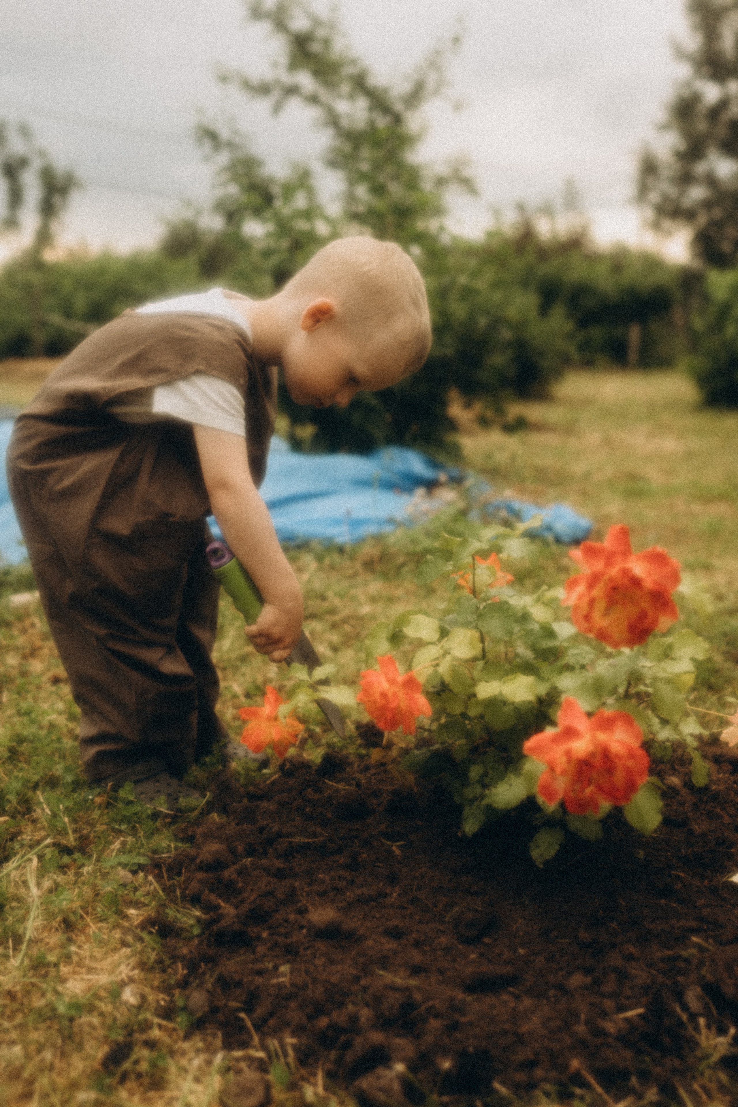 Про домашний уют на севера. Семейный фотограф в Мурманске Екатерина Юшкова
