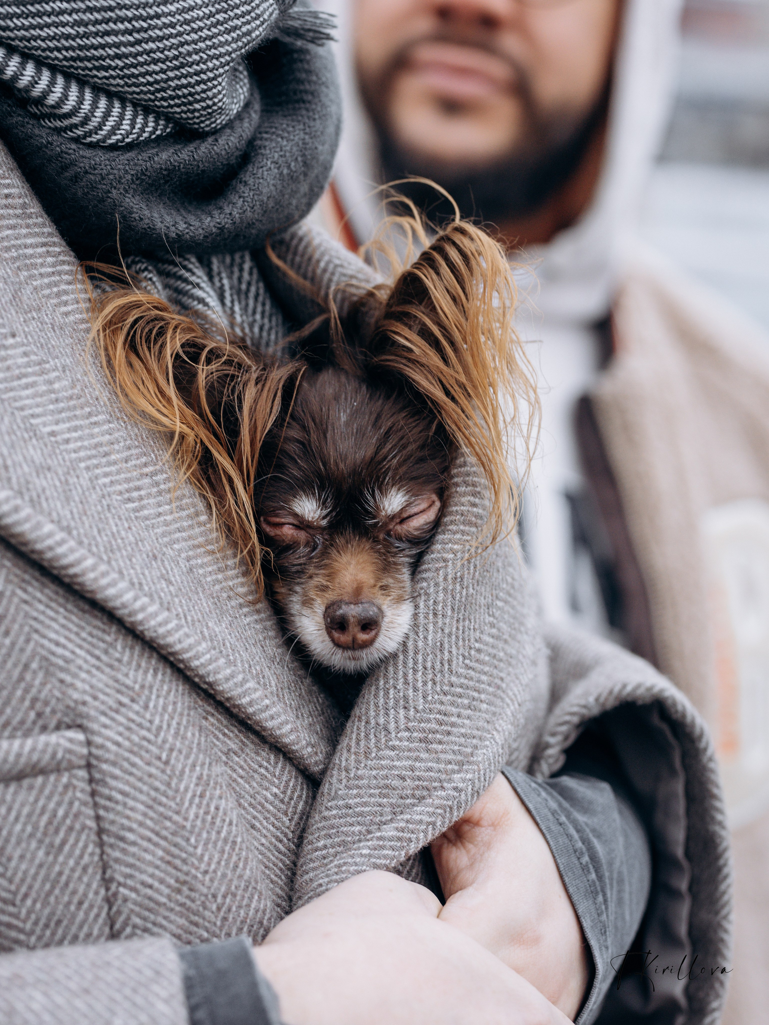 Зося и Антон. Фотограф-анималист в Москве Кириллова Татьяна