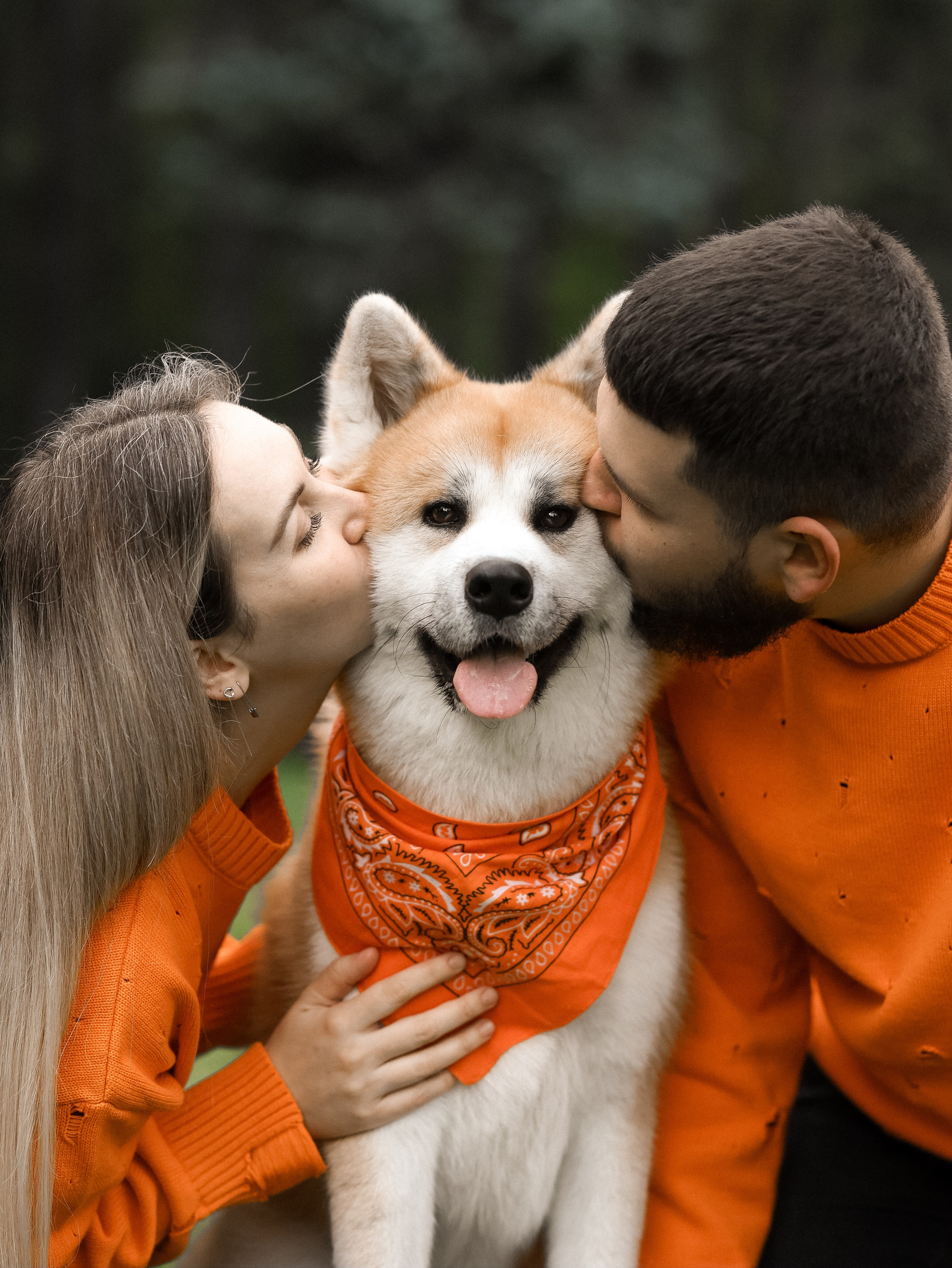 Гранд, Вика и Степан. Фотограф-анималист в Москве Кириллова Татьяна