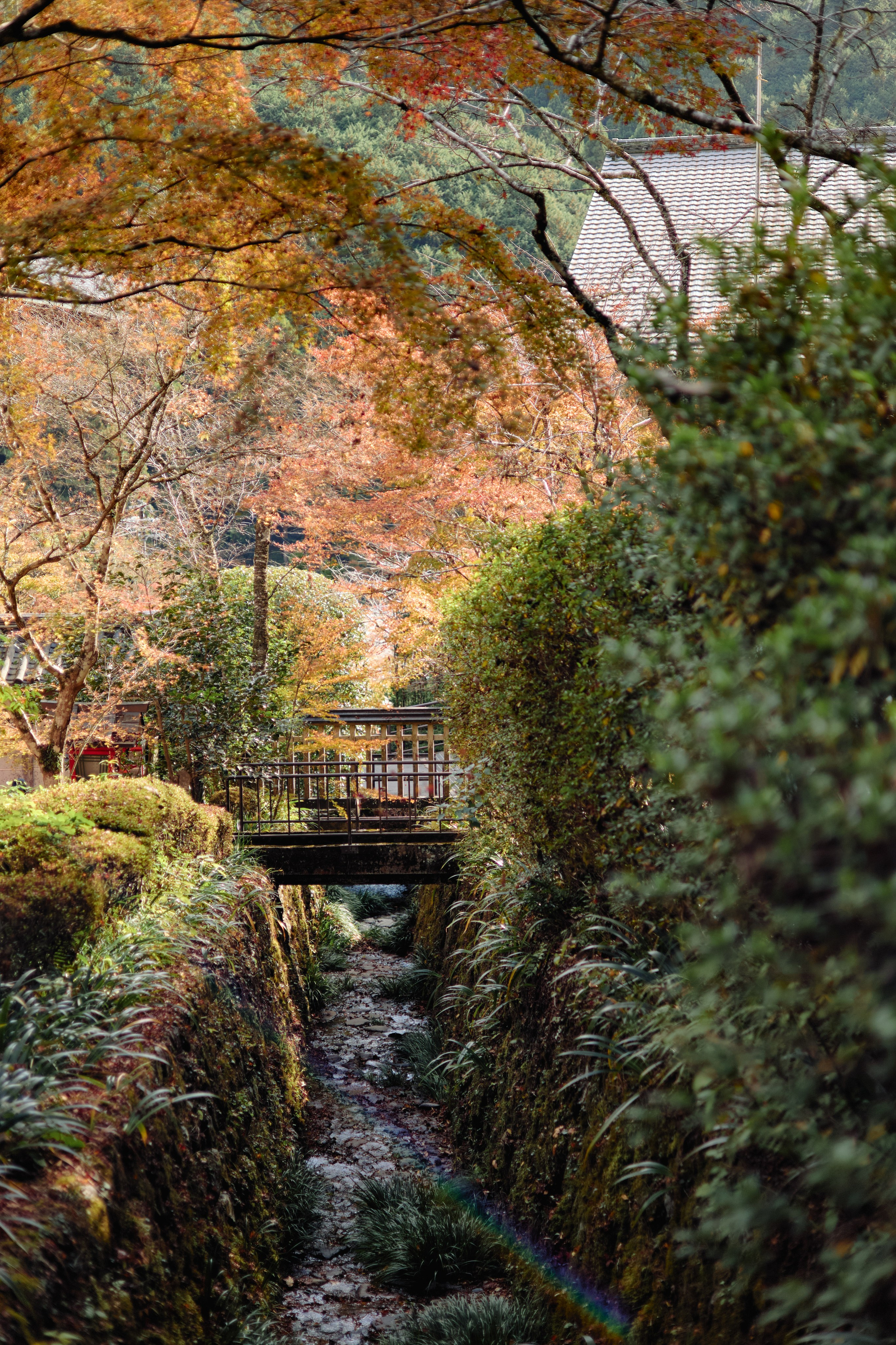 Япония. Профессиональный Фотограф во Владимире, в Москве и в Суздале — Полина Романычева