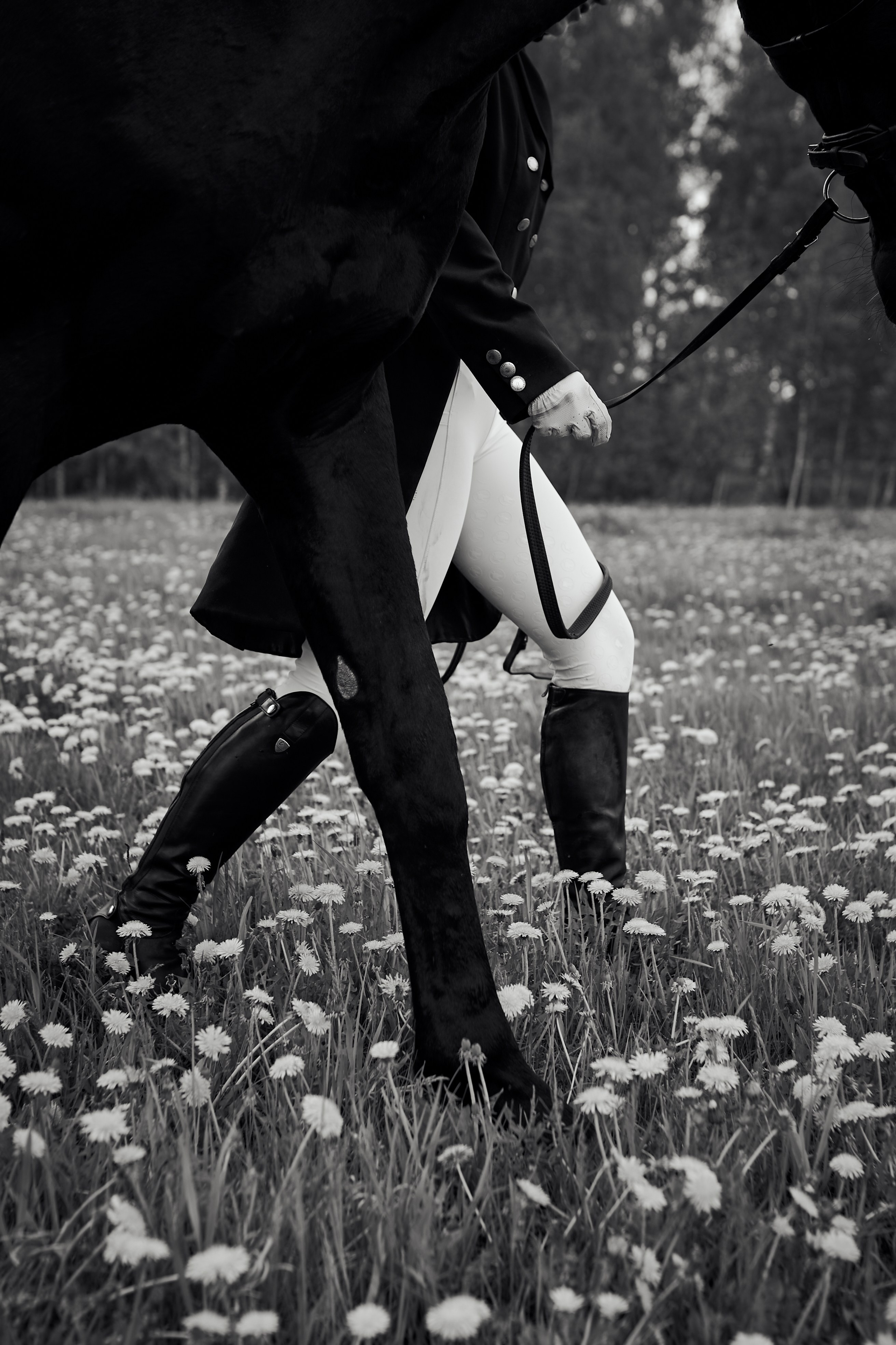 Полина и Парламент. Фотосессии с лошадьми в Москве, Новосибирске