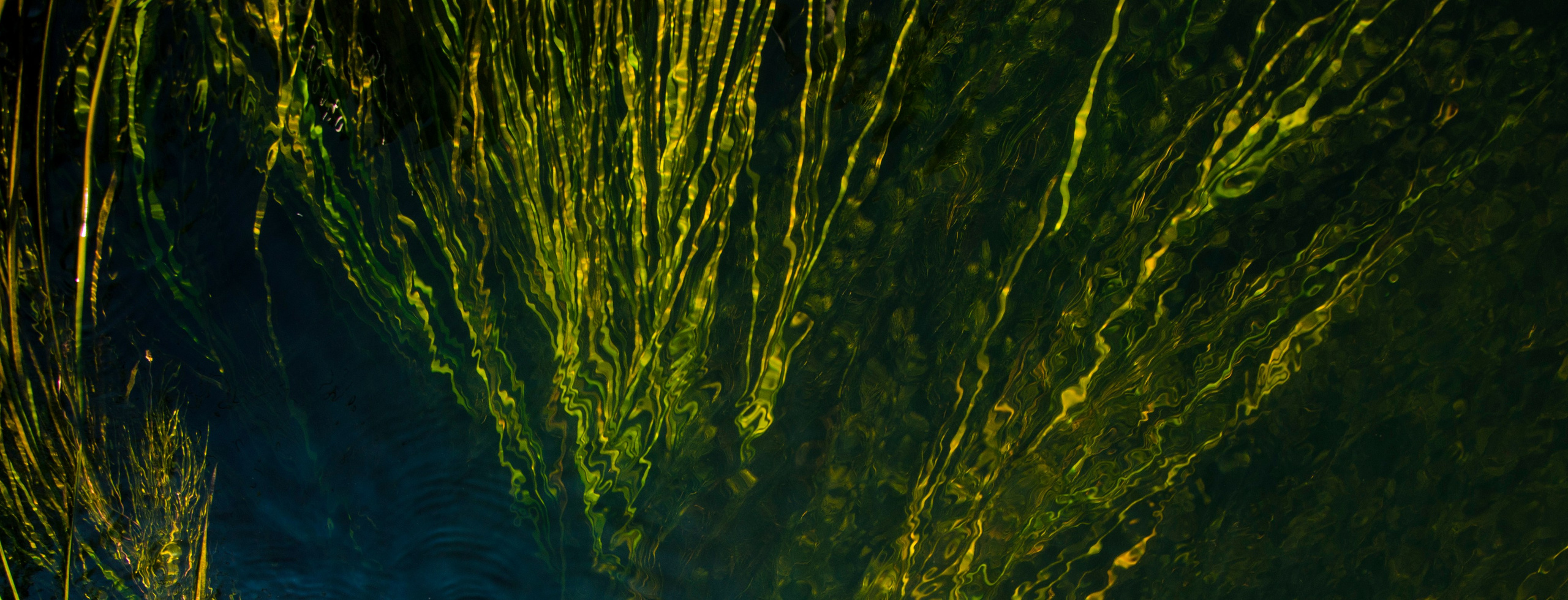 ФАКТУРКИ и ДЕТАЛЬКИ. Фотограф Татьяна Андриянова