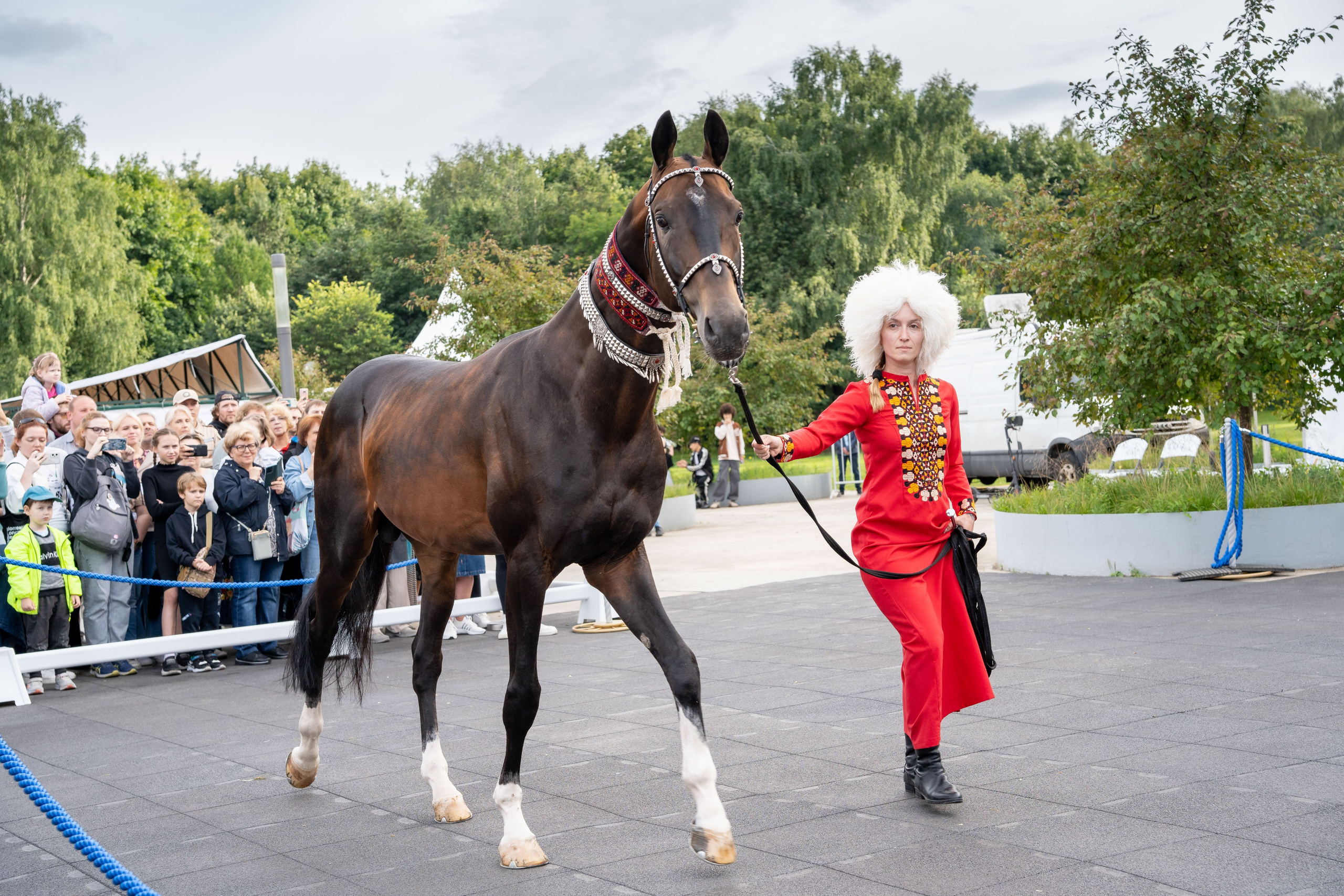 Животные. Фото, видео, монтаж