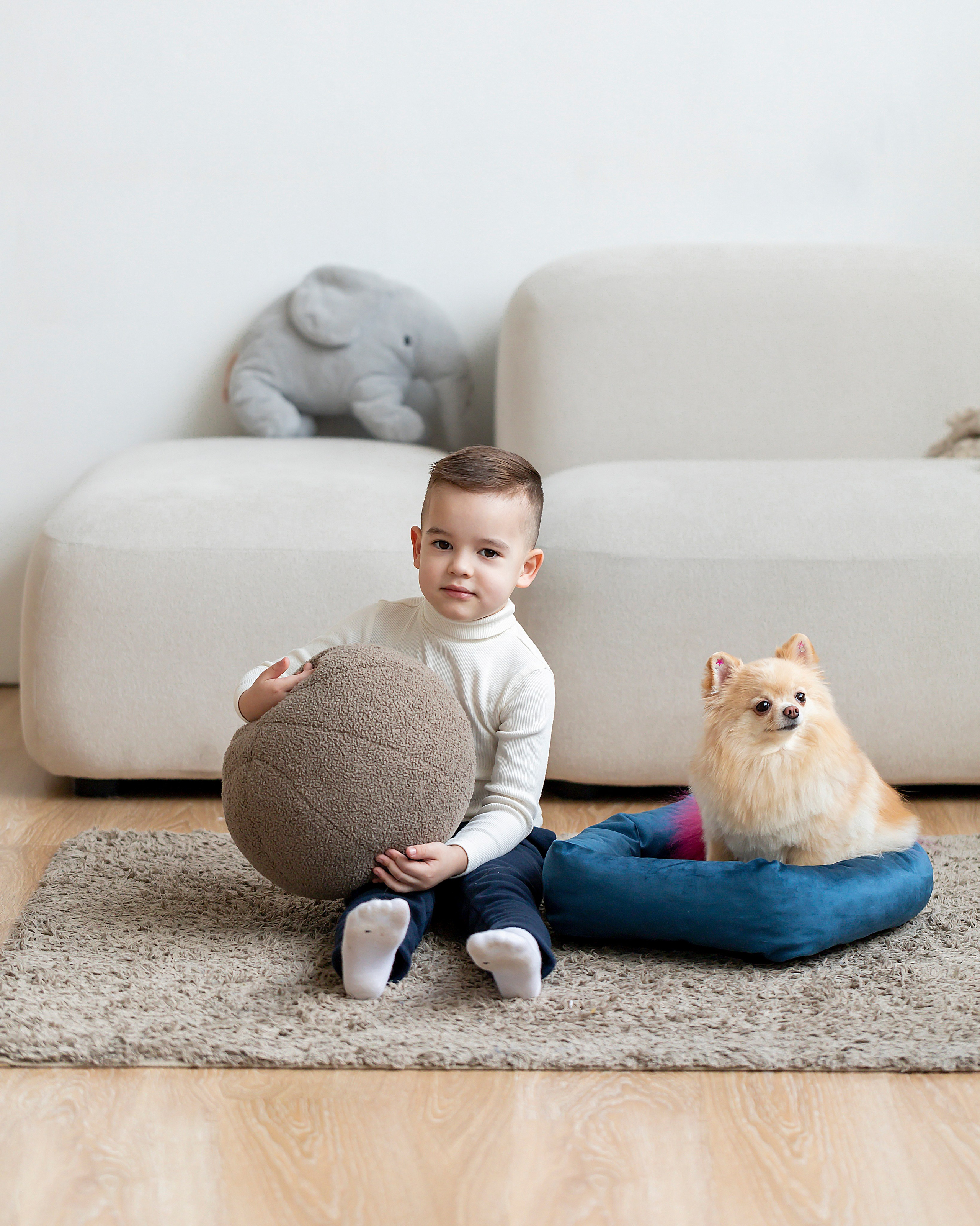 Лежанки для животных. Предметный & фудфотограф Рязань