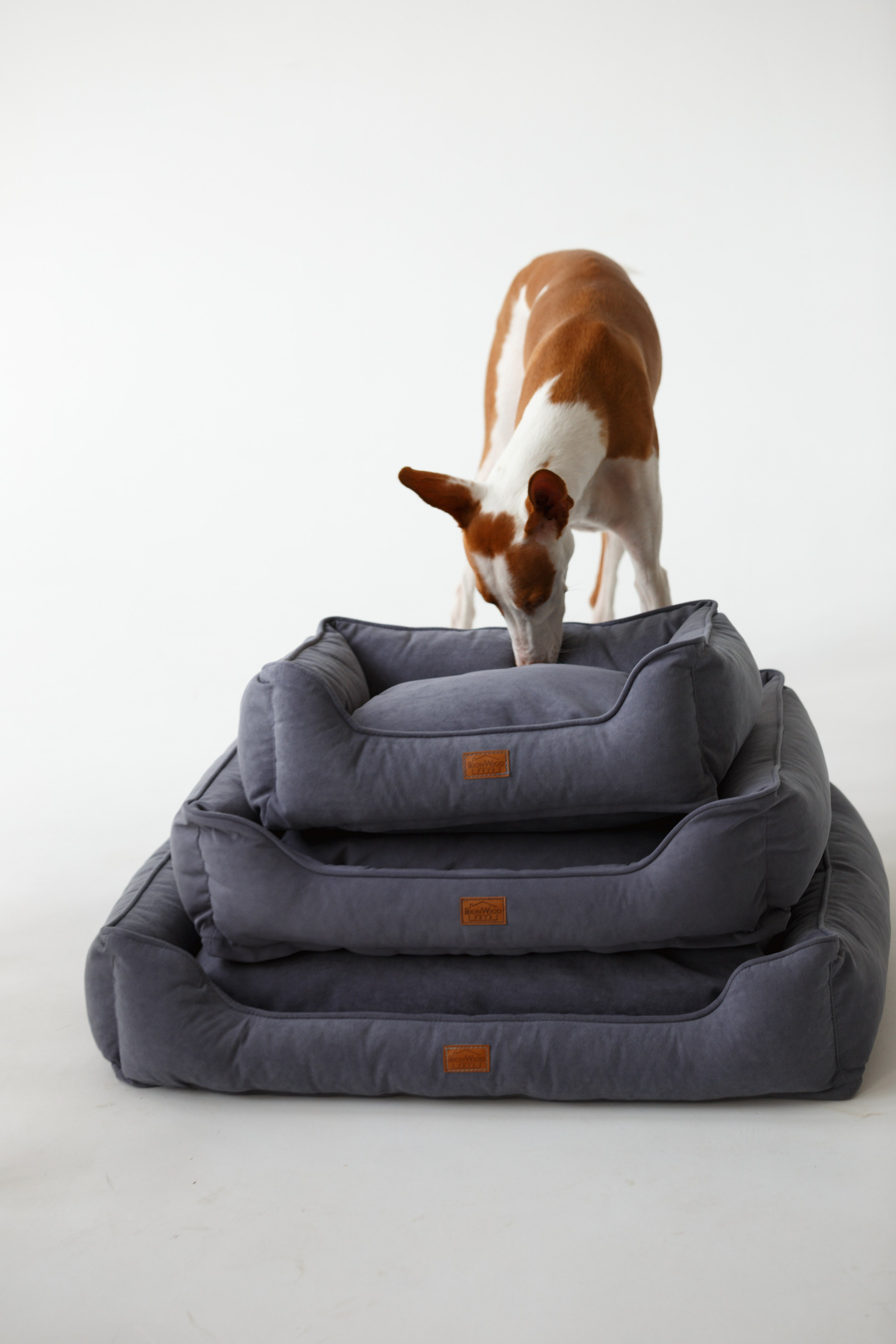 Boonwood Pets лежанки для животных. Фотограф анималист Кристина Карпова, Москва