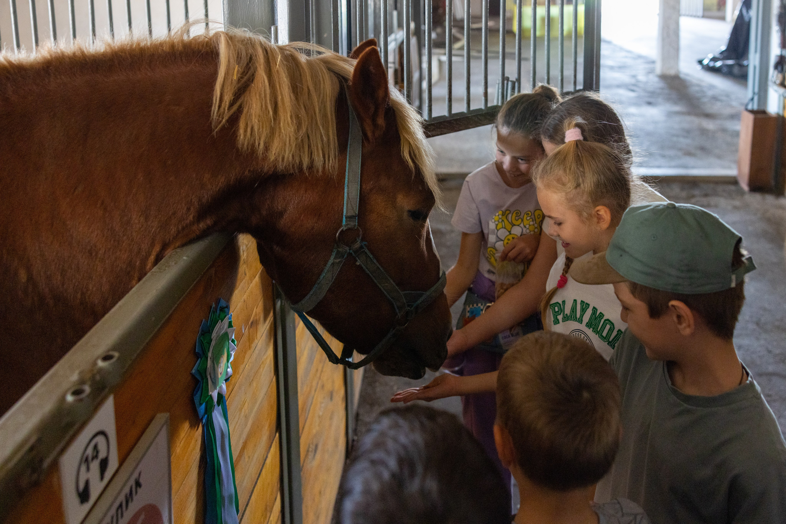 Поездка на поле Кулеково. Фотограф в Туле Крупский АнДРей. Фотостудия «КАДР71» в Туле