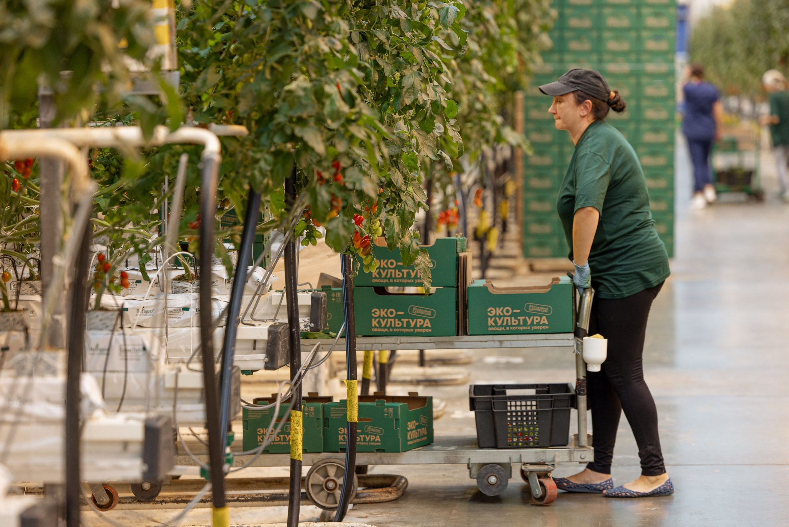 Производство. Фотограф Николай Петрушкин | Ставрополь, Москва