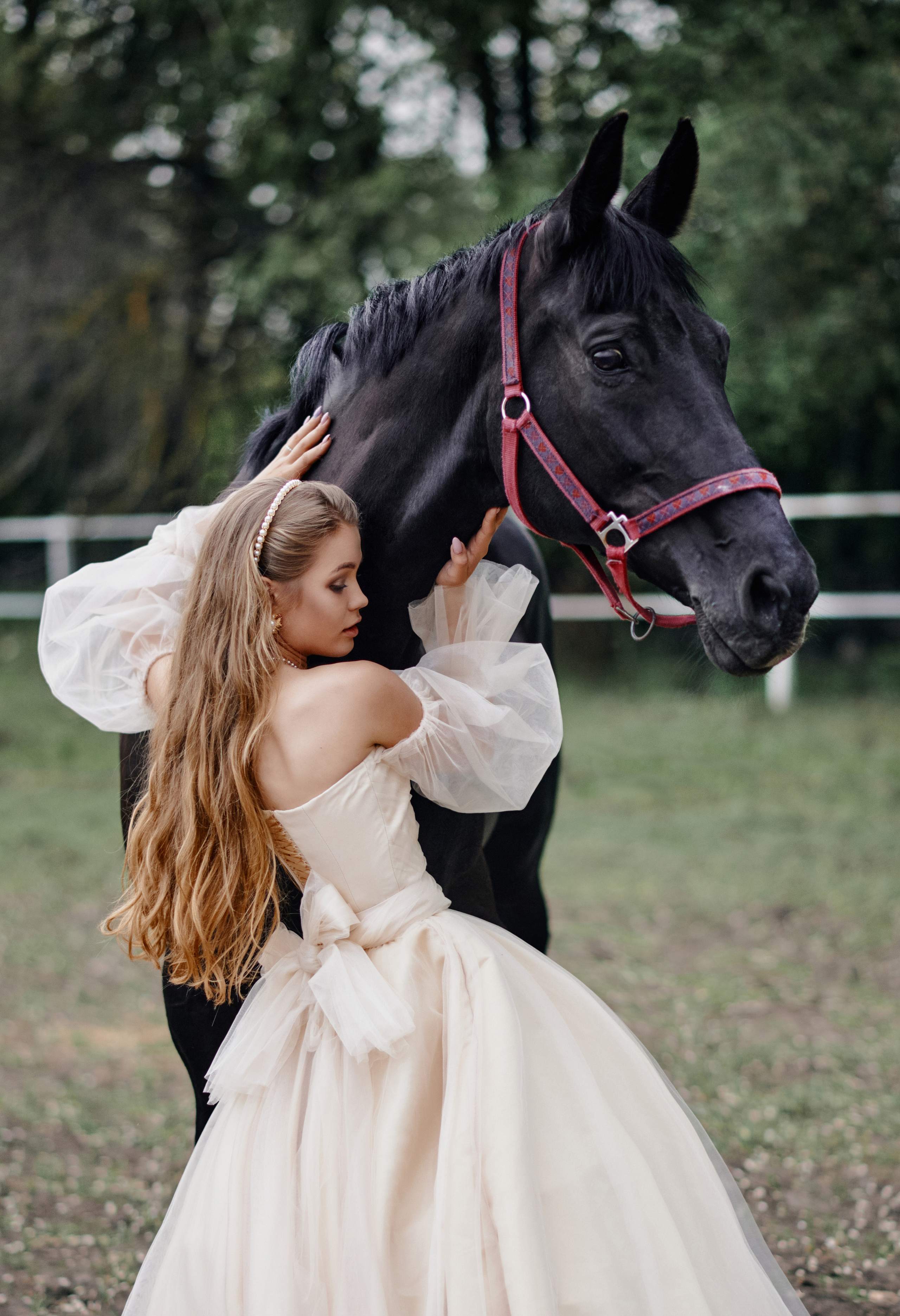 Equestrian photos