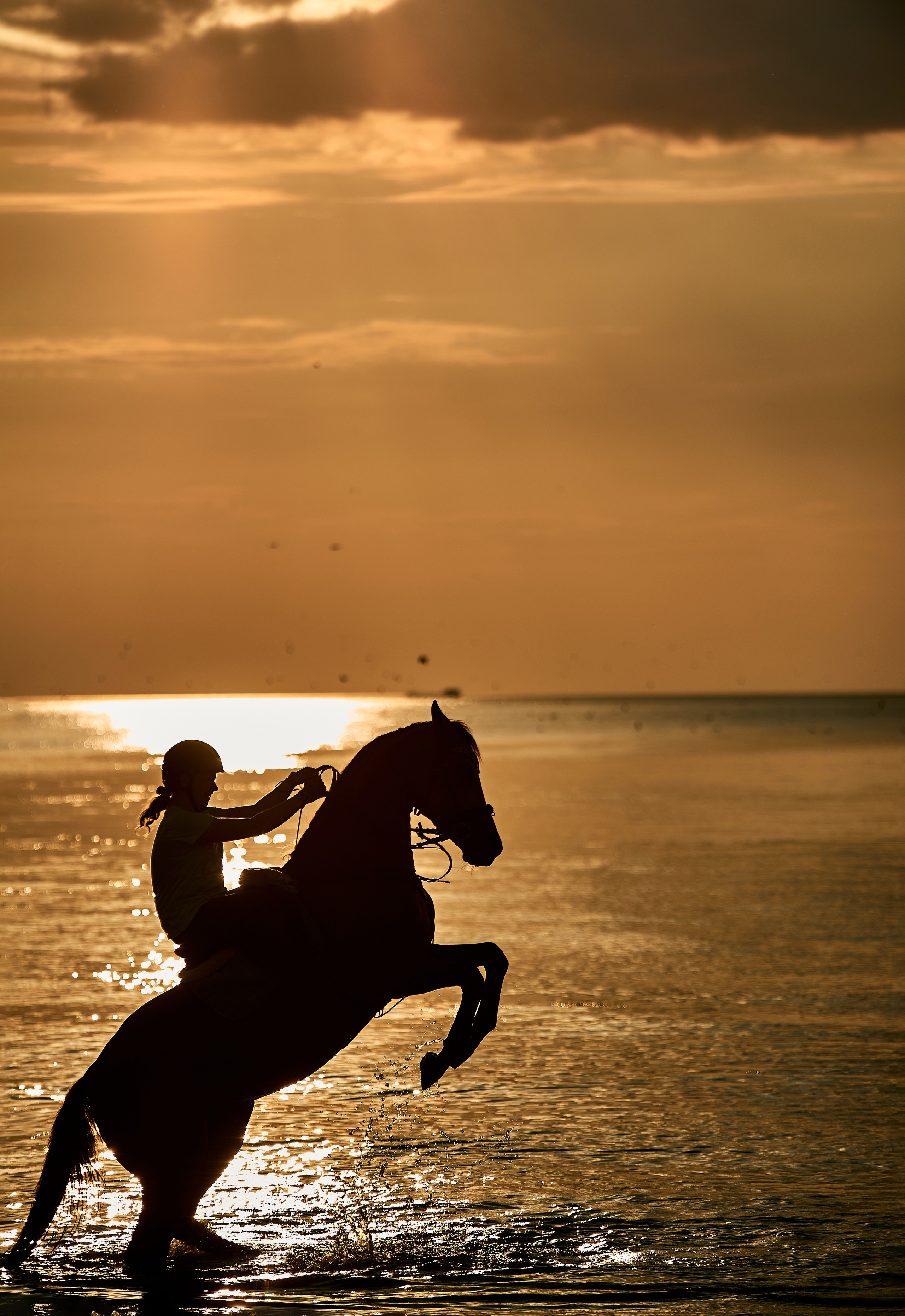 Equestrian photos