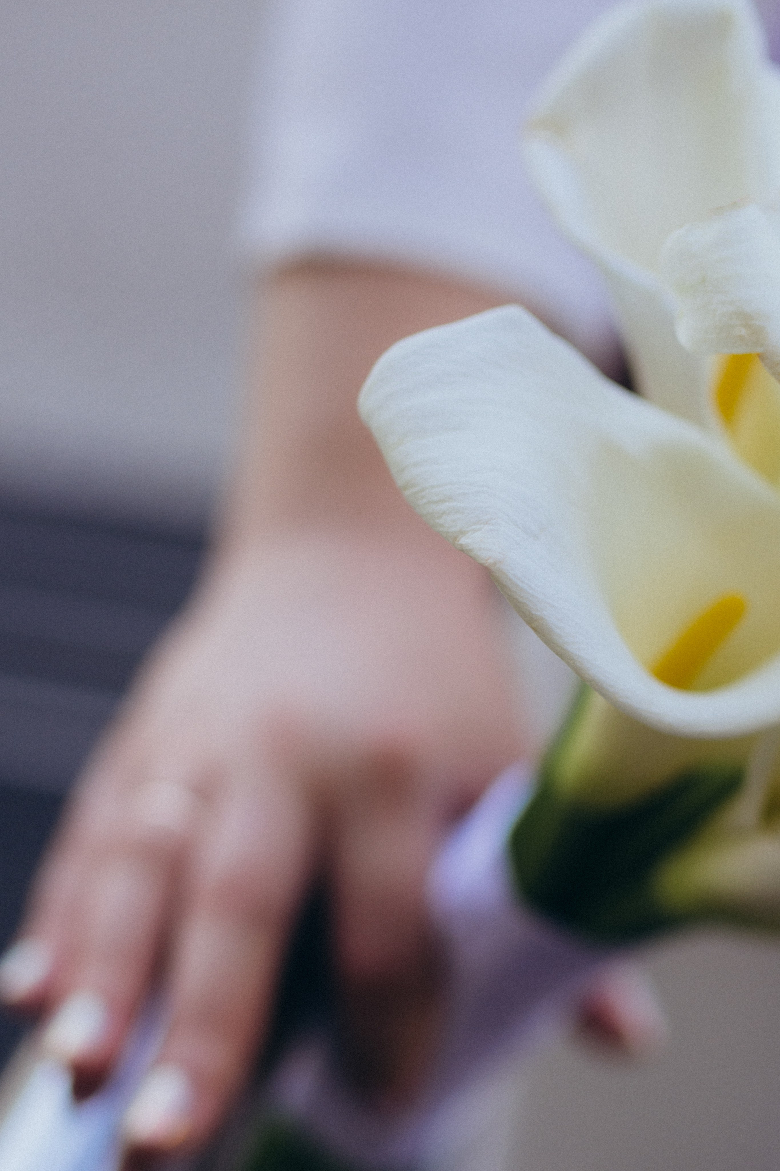Павел и Юлия. Семейный фотограф в Новом Уренгое Алёна Пряженцева